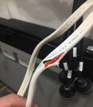 Electrical Cable - cut