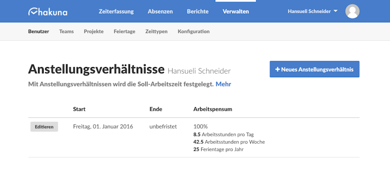 Übersicht Anstellungsverhältnisse
