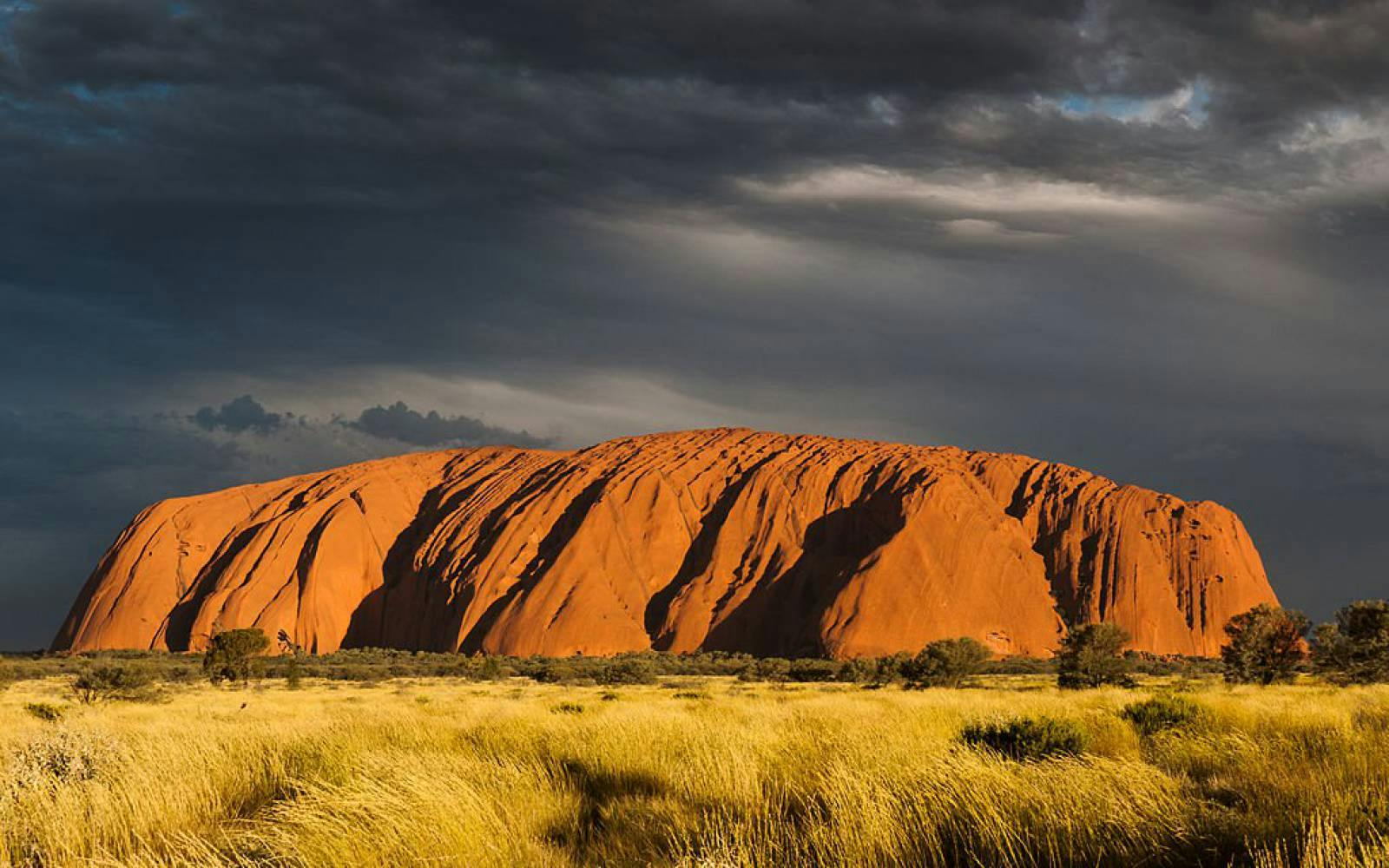 Australian Beach Porn - Facts about Australia | Interesting & Fun Australia Facts