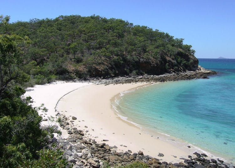 shelving beach great keppel island