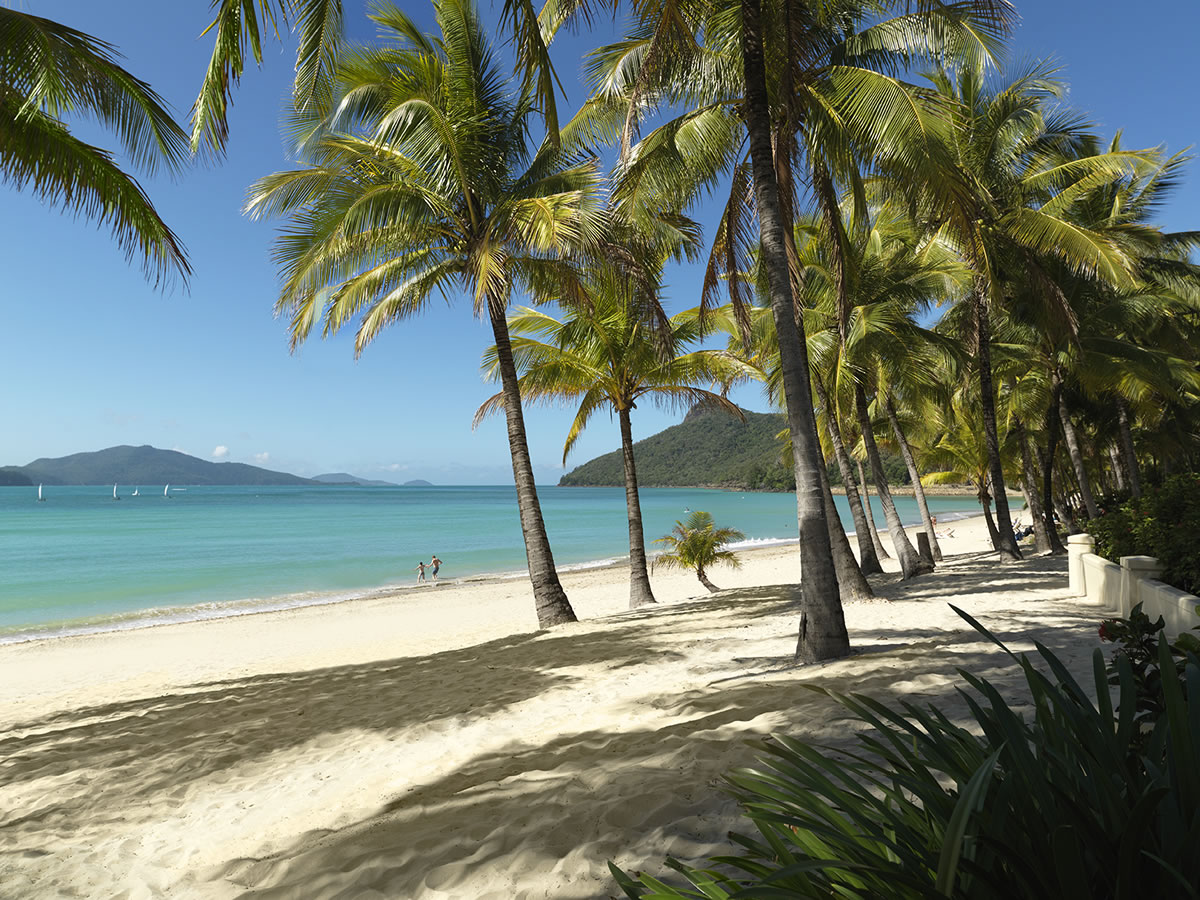 Airlie Beach Campground Centrally located Campsite