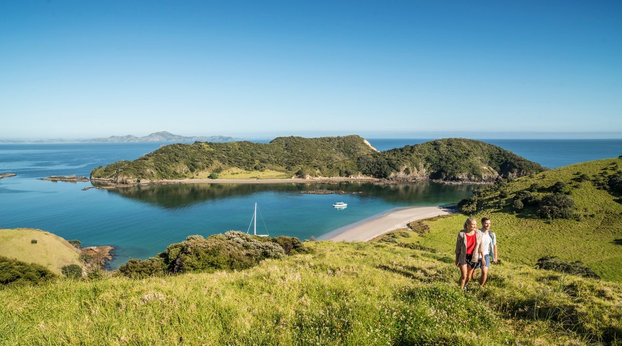 new zealand road trips auckland to bay of islands