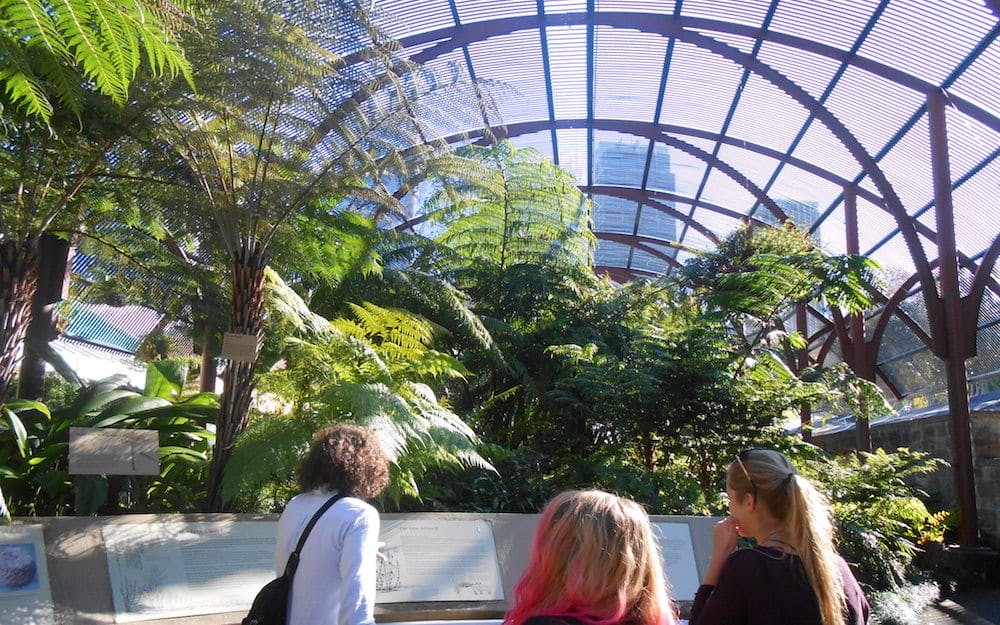 sydney botanical gardens