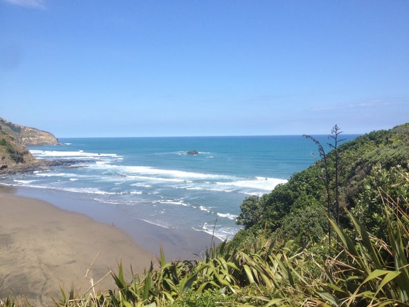 muriwai surf beach in auckland