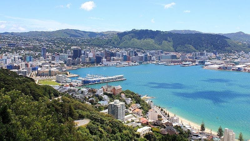 free things to do in wellington - walk to mount victoria
