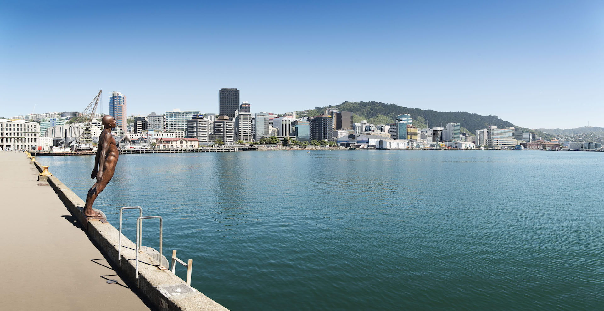 50 FREE Things to do in Wellington