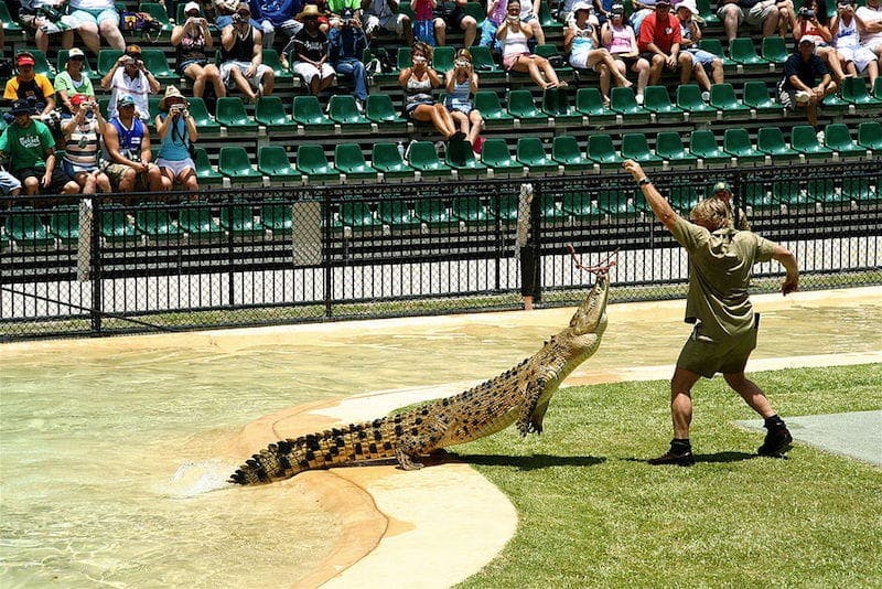 australia zoo brisbane attractions