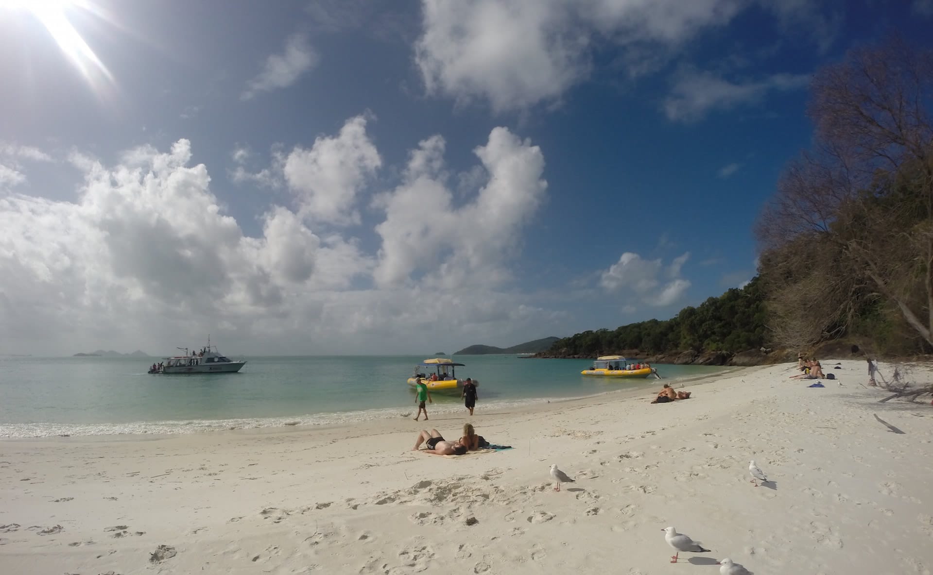 Things To Do in Airlie Beach Airlie Beach Activities