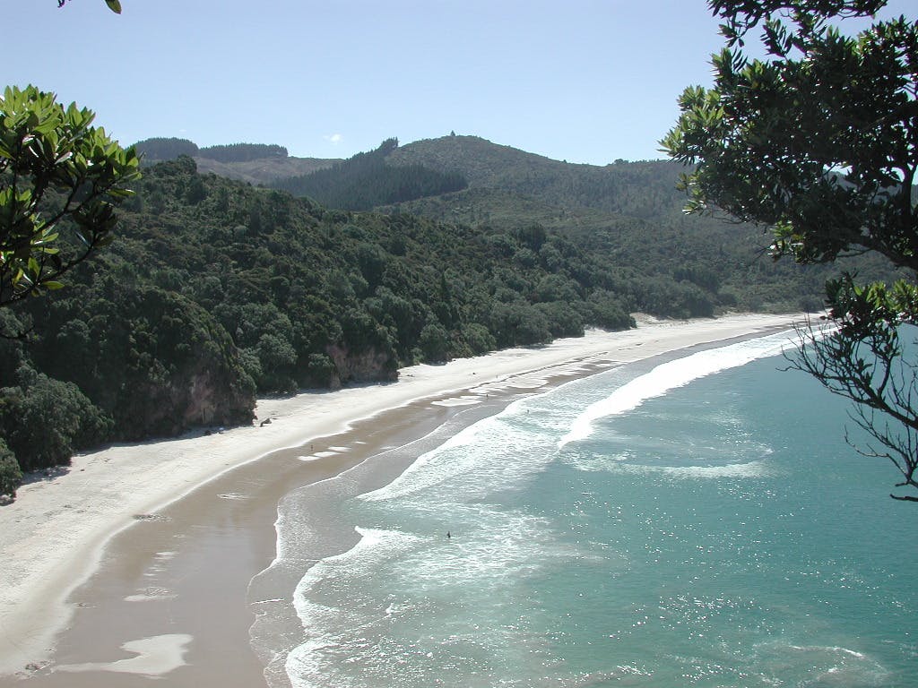 overlooking new chums beach new zealand