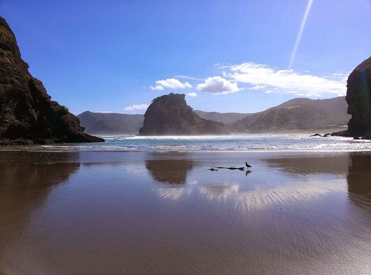 one of the best places to visit in new zealand - piha