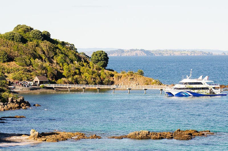 tiritiri matangi island