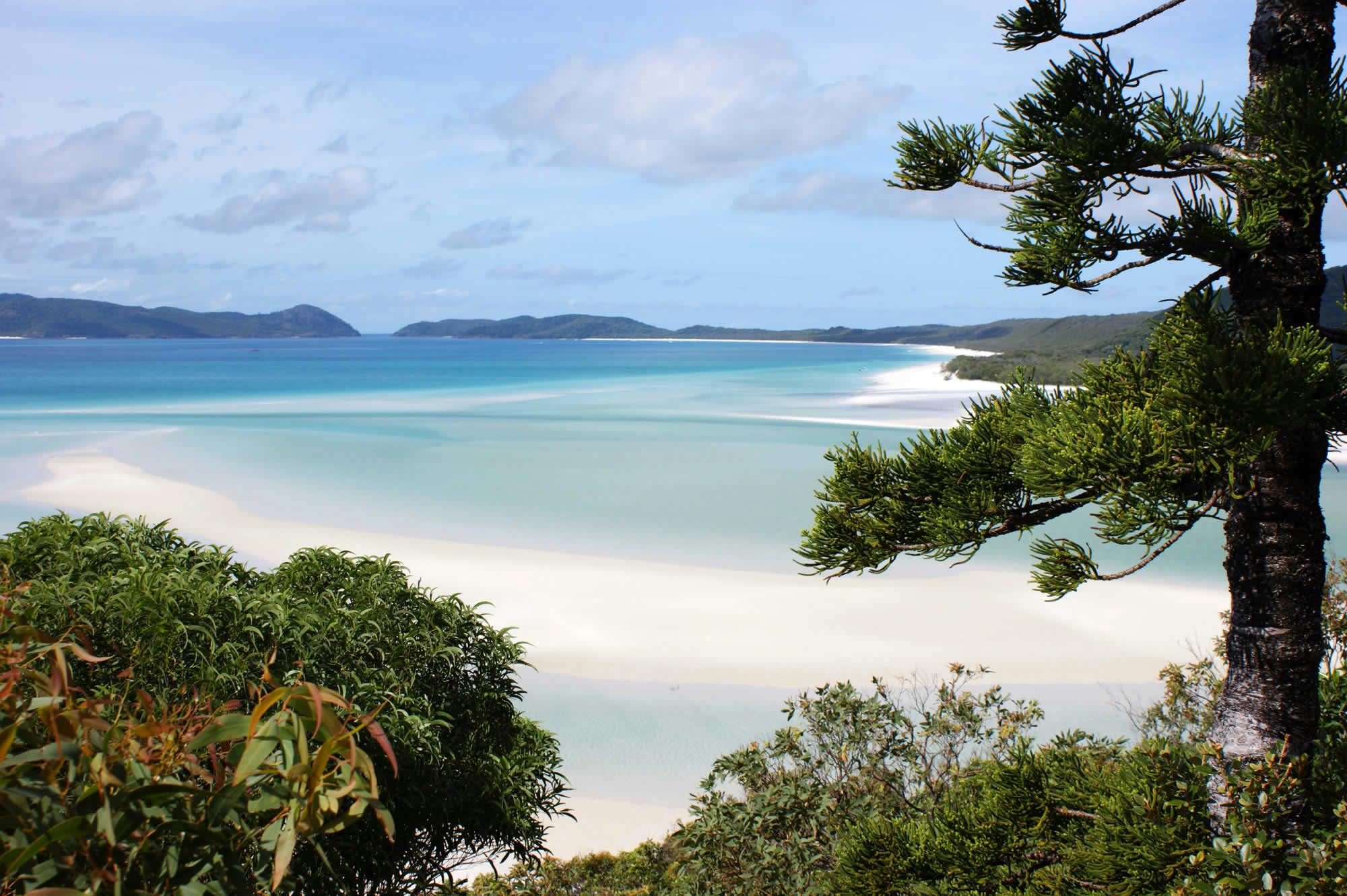 A Backpacking guide to Fraser Island the Whitsundays