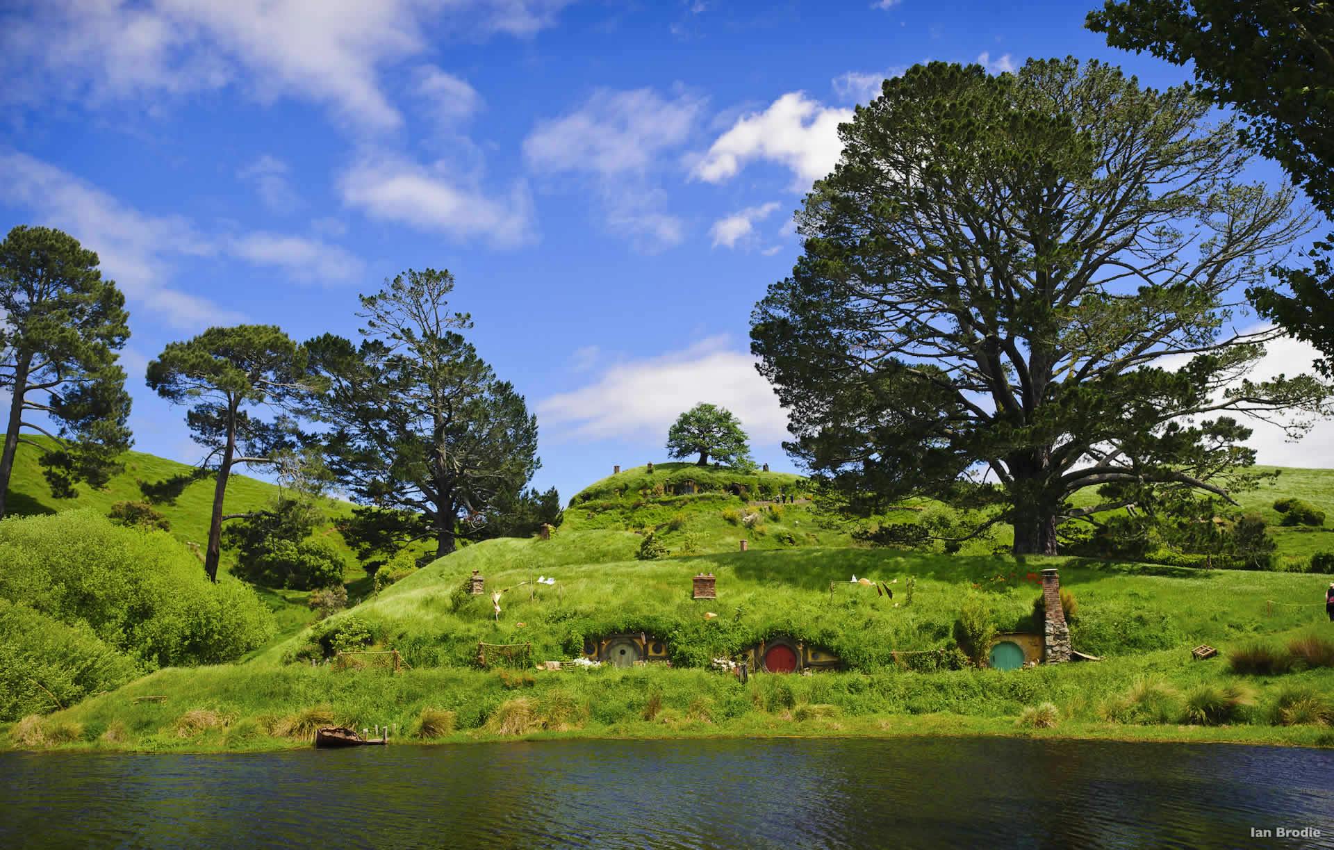 what to do in rotorua hobbiton