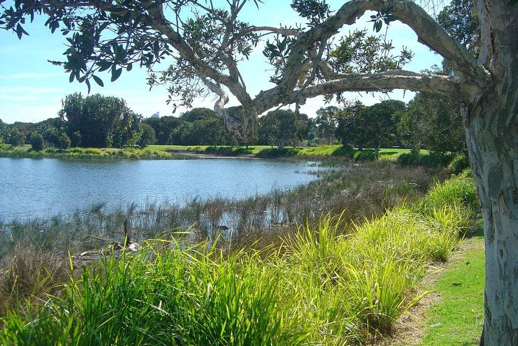 centennial park sydney