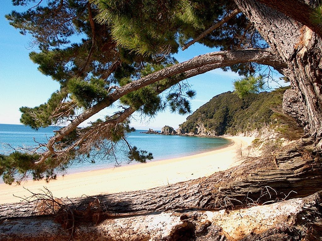 secret beaches in new zealand