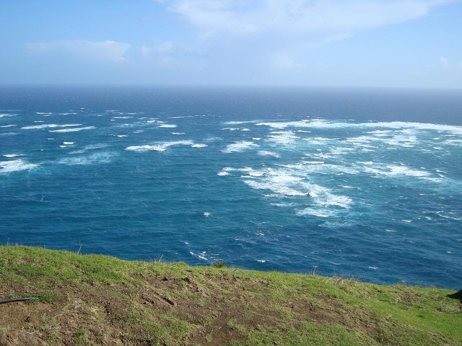 day tour from paihia to cape reinga