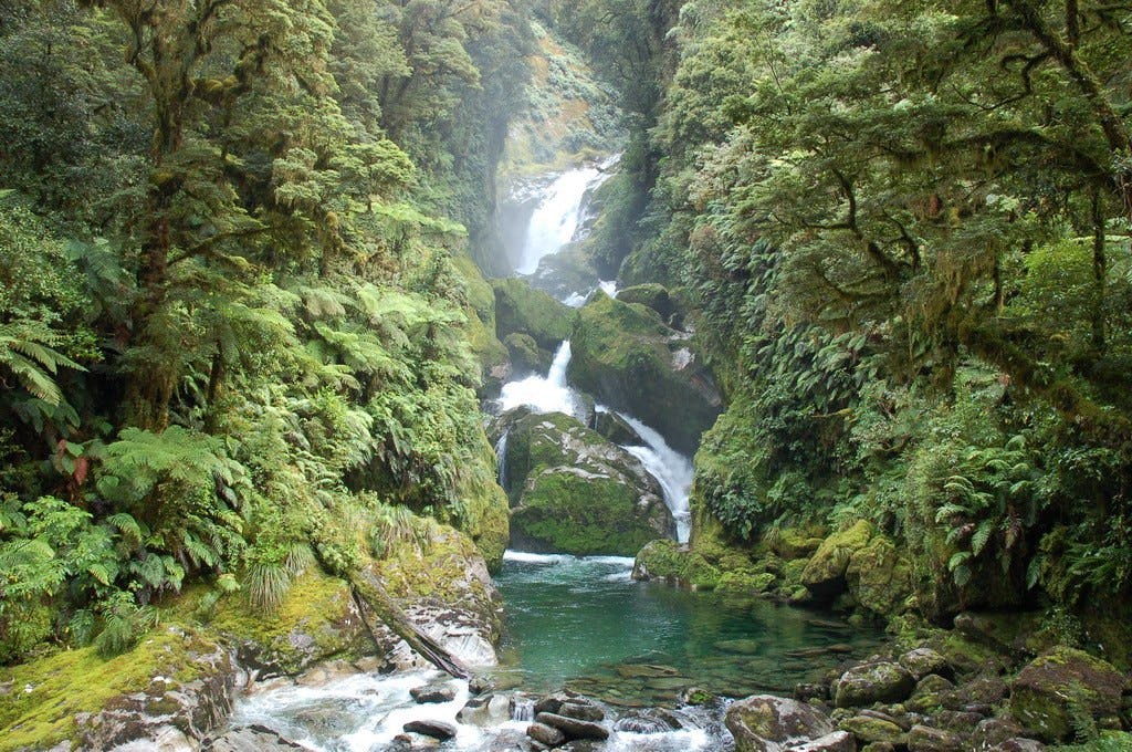 9 great new zealand walks milford track