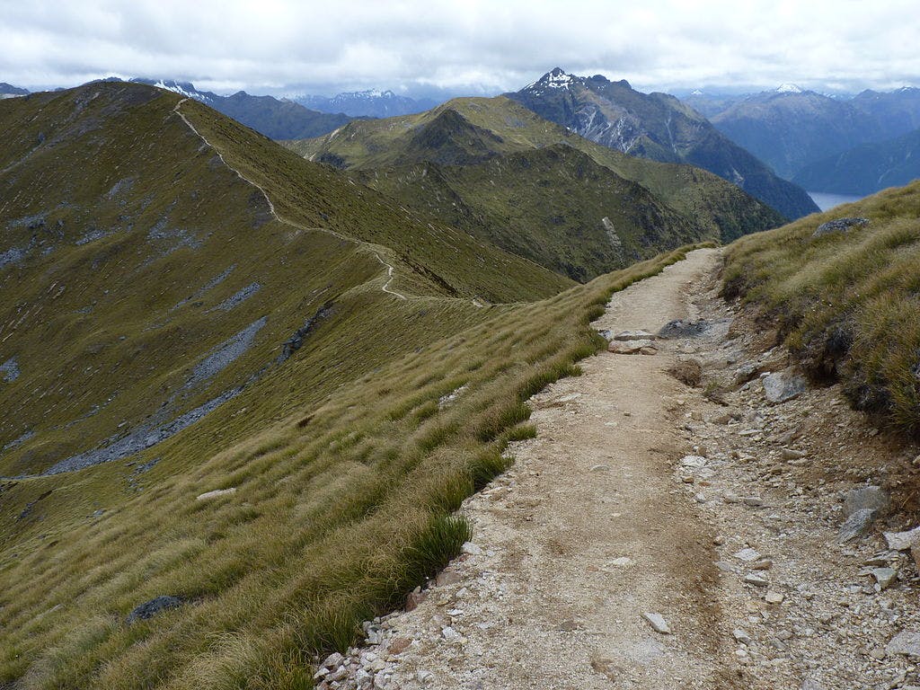 the kepler track nz 9 great walks new zealand