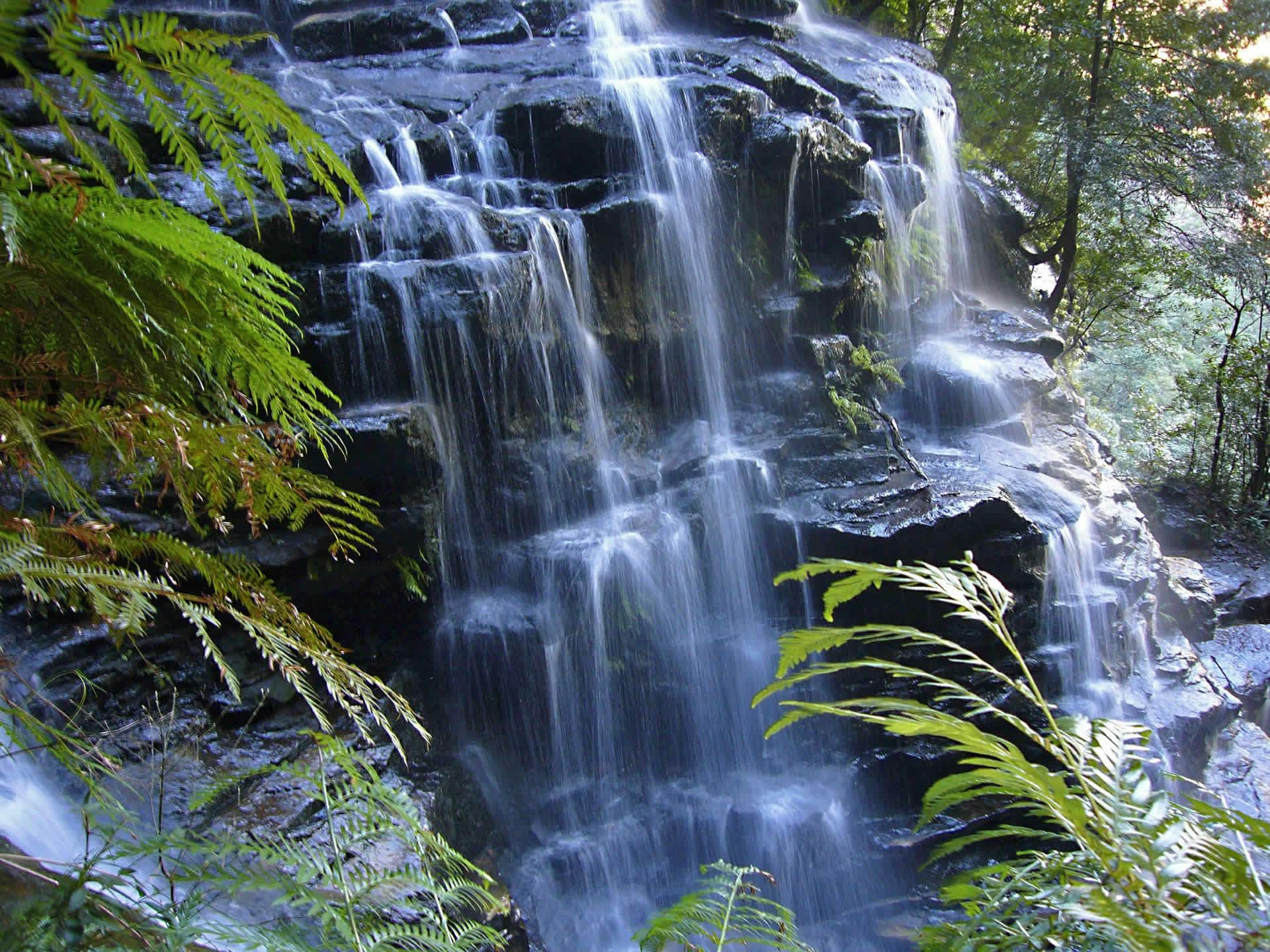 the blue mountains