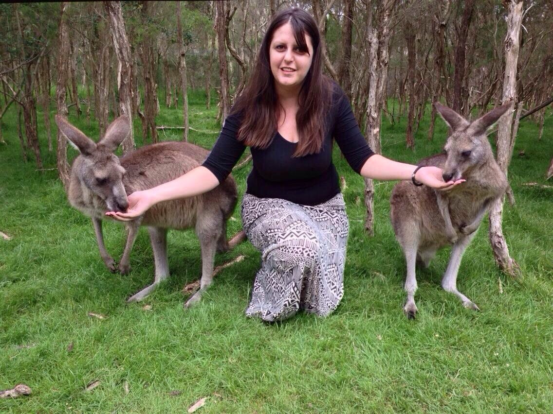 feed wallabies in melbourne