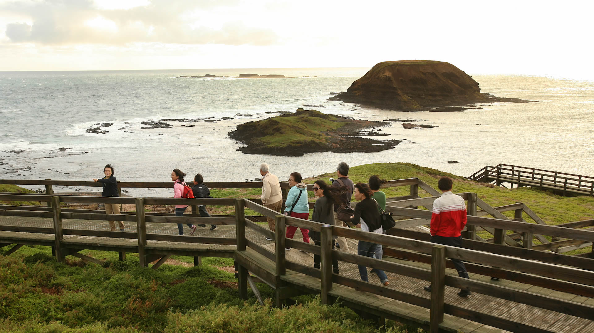 Phillip Island Tour Watch the Phillip Island Penguin Parade