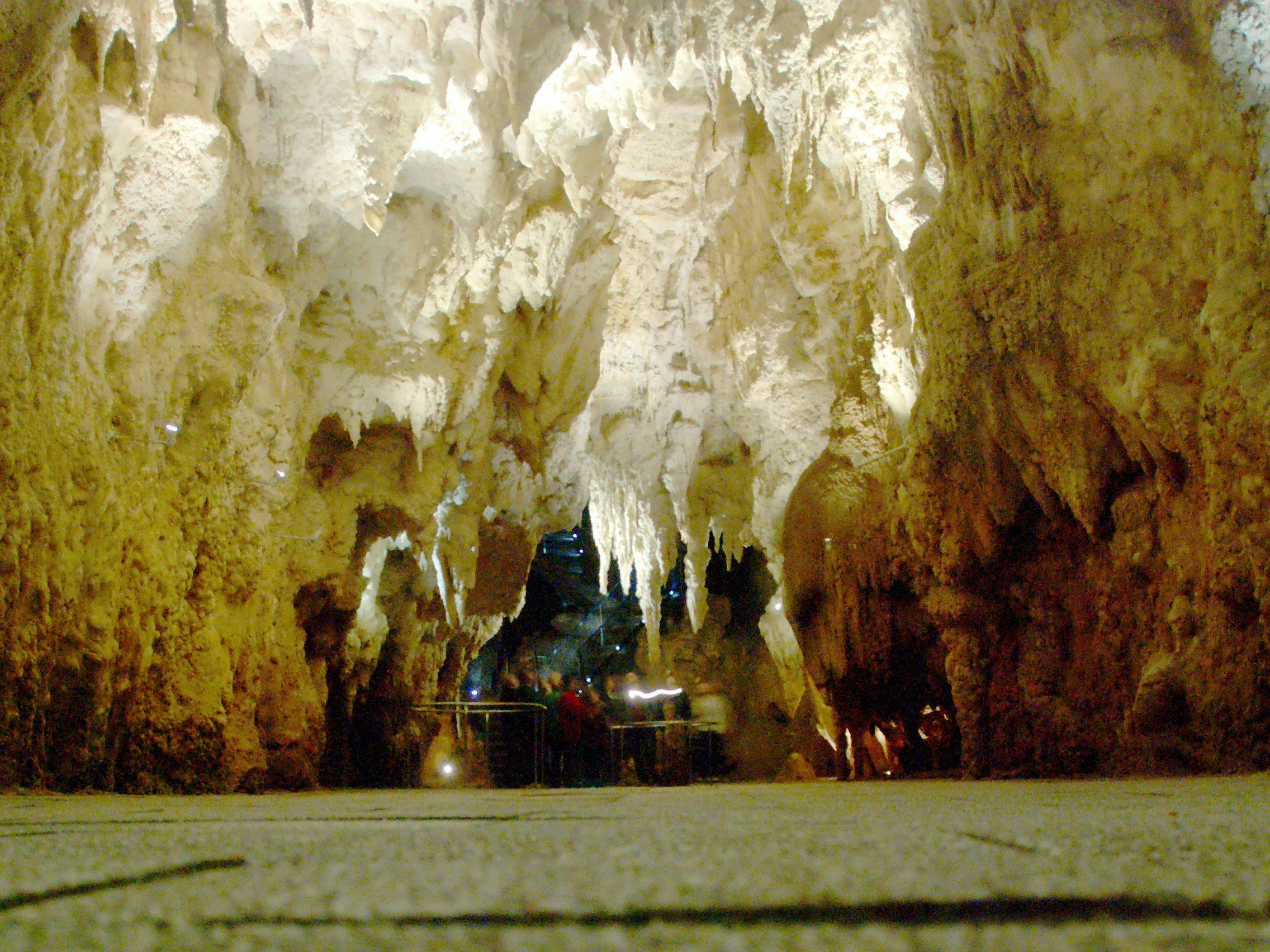 cathedral in waitomo caves