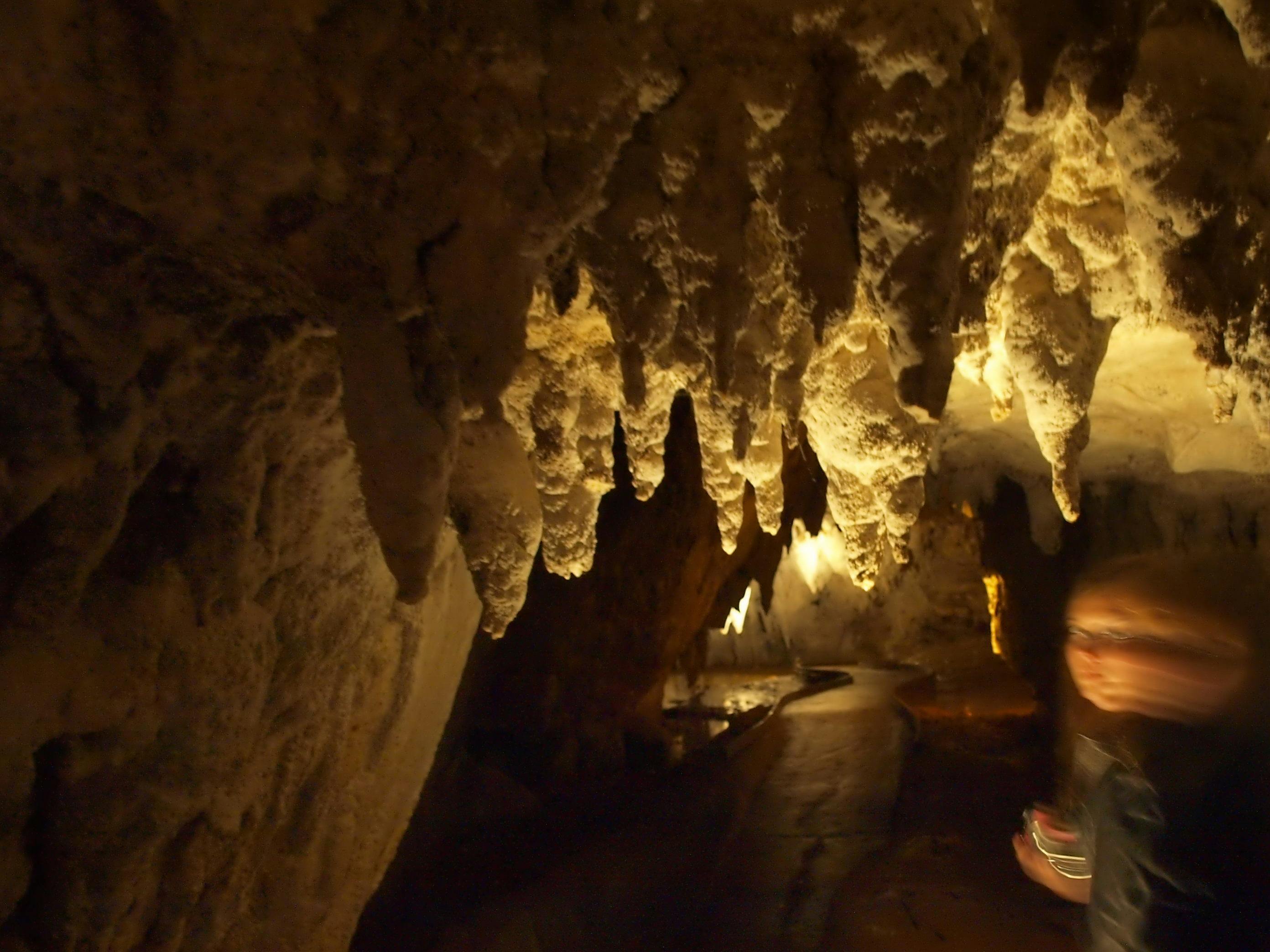 waitomo cave