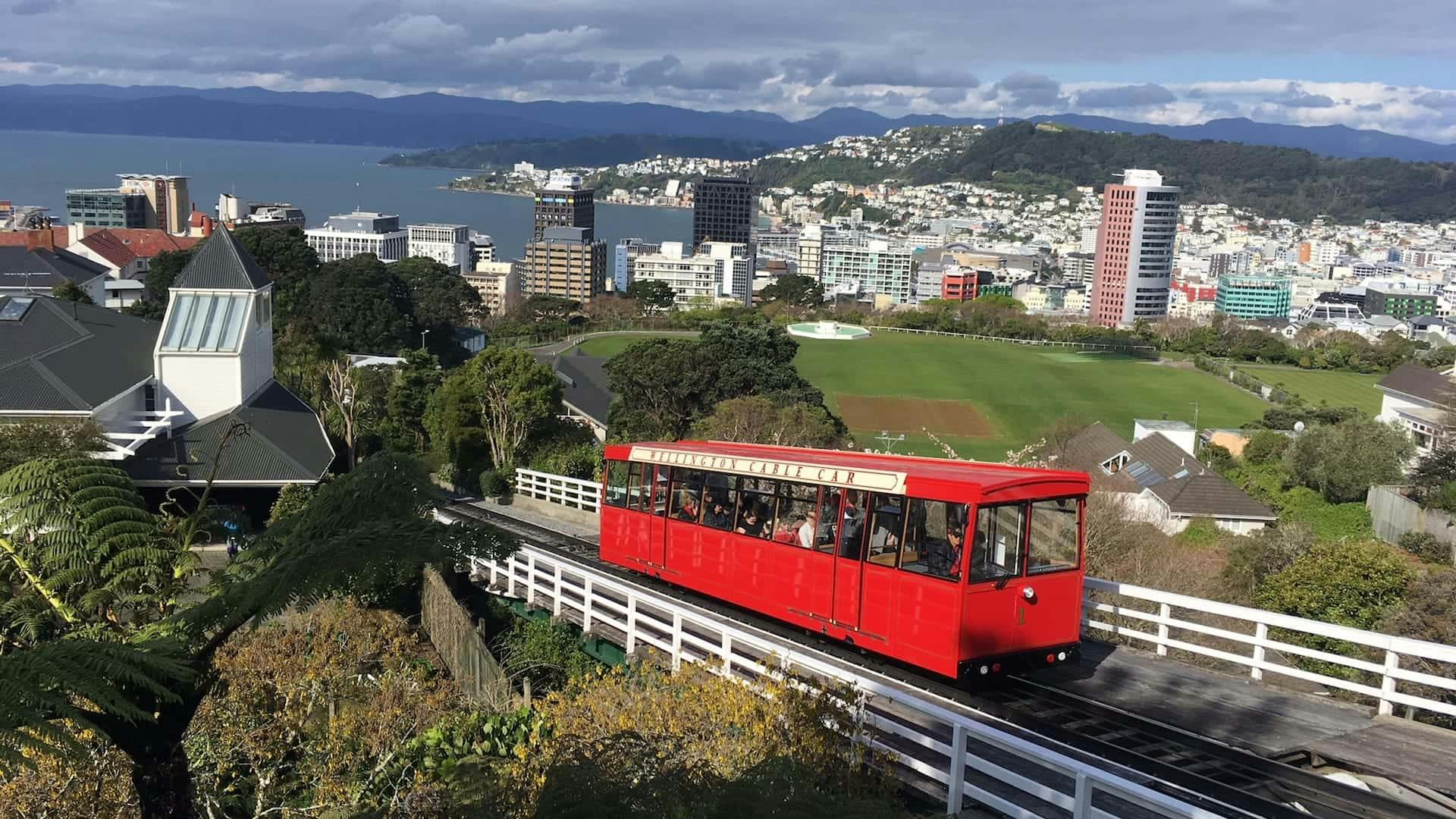 instagrammable places in wellington