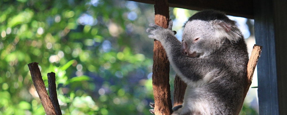 20 Epic East Coast Backpacking Experiences Must See East Coast