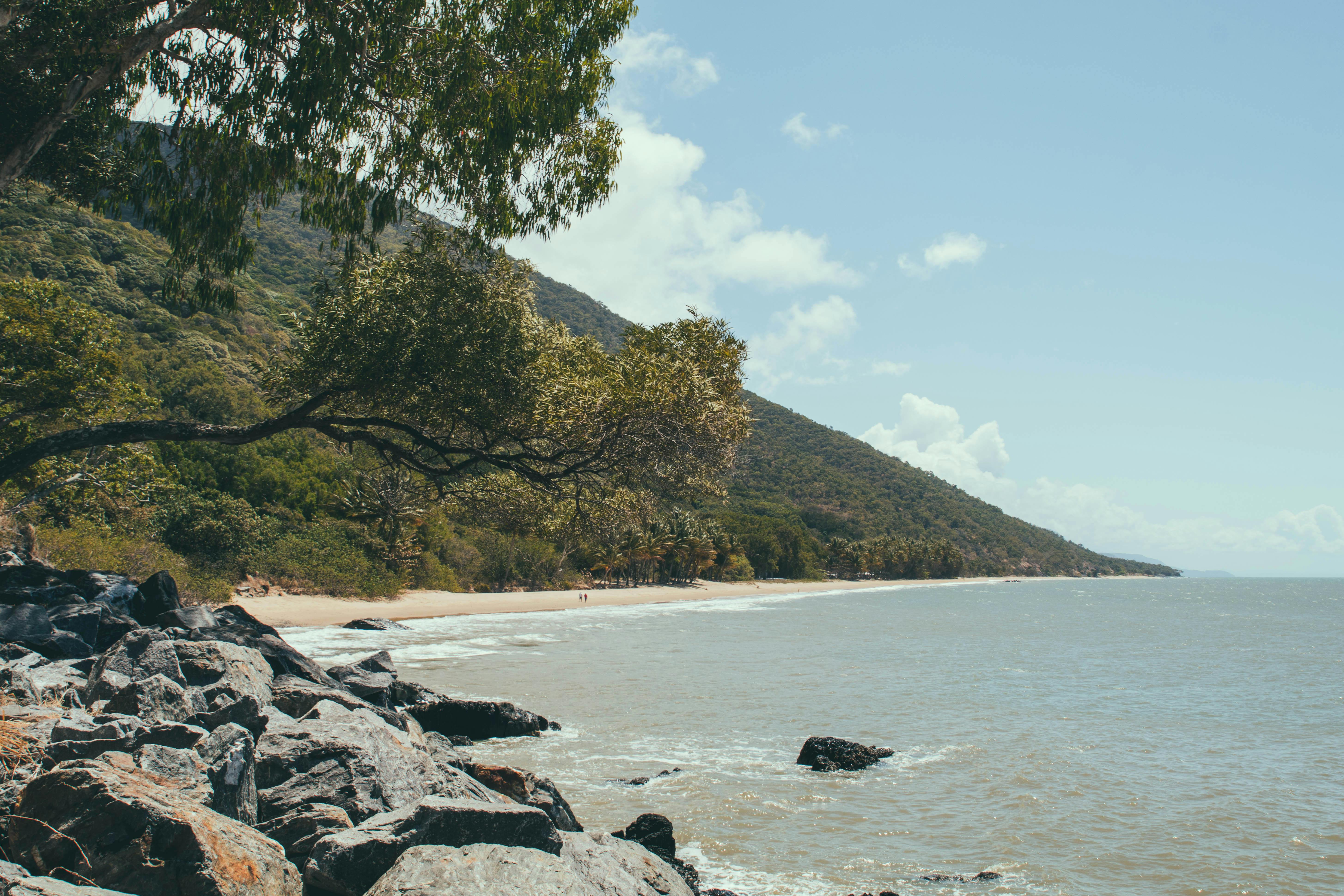 road trip to cape tribulation