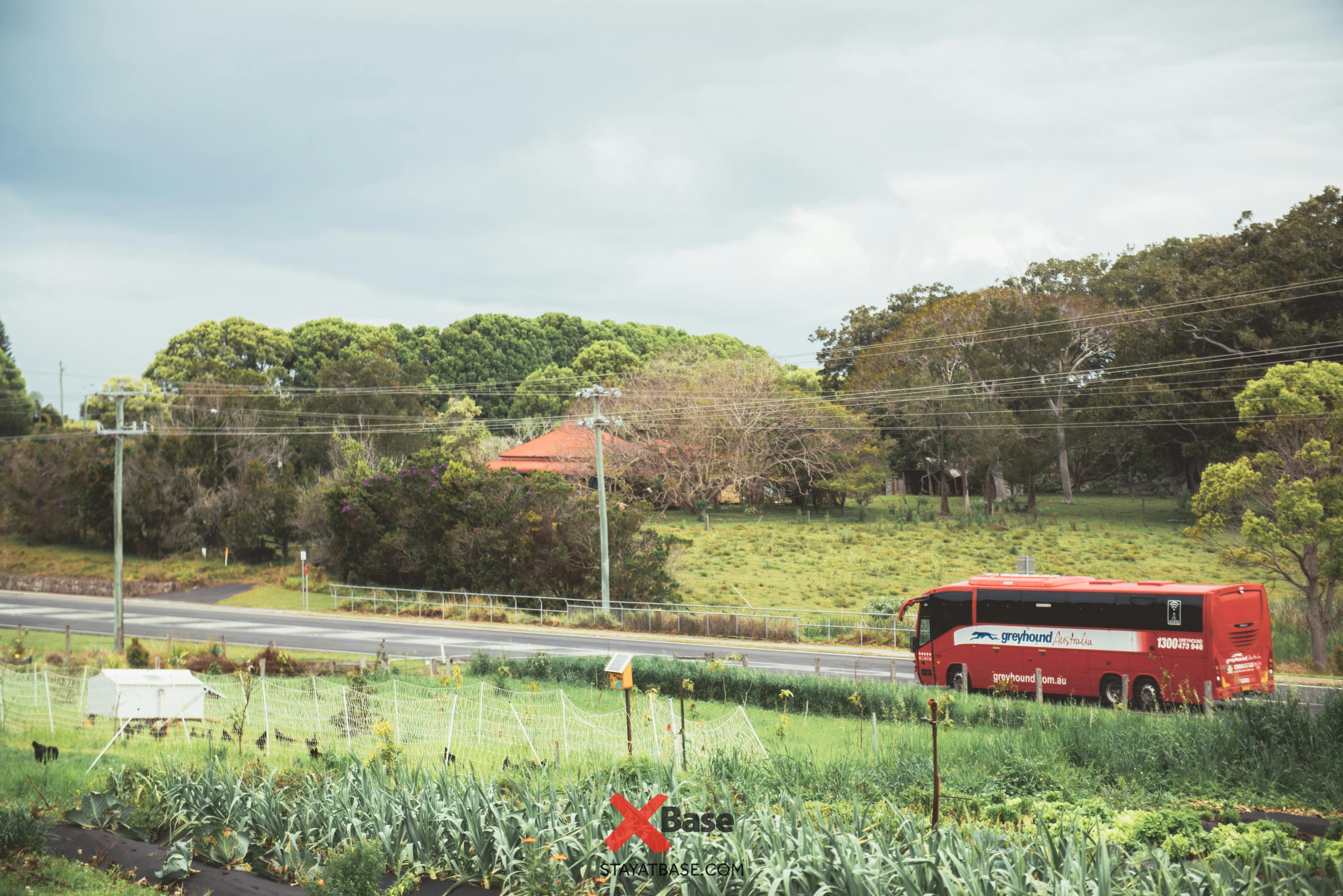 greyhound bus australia