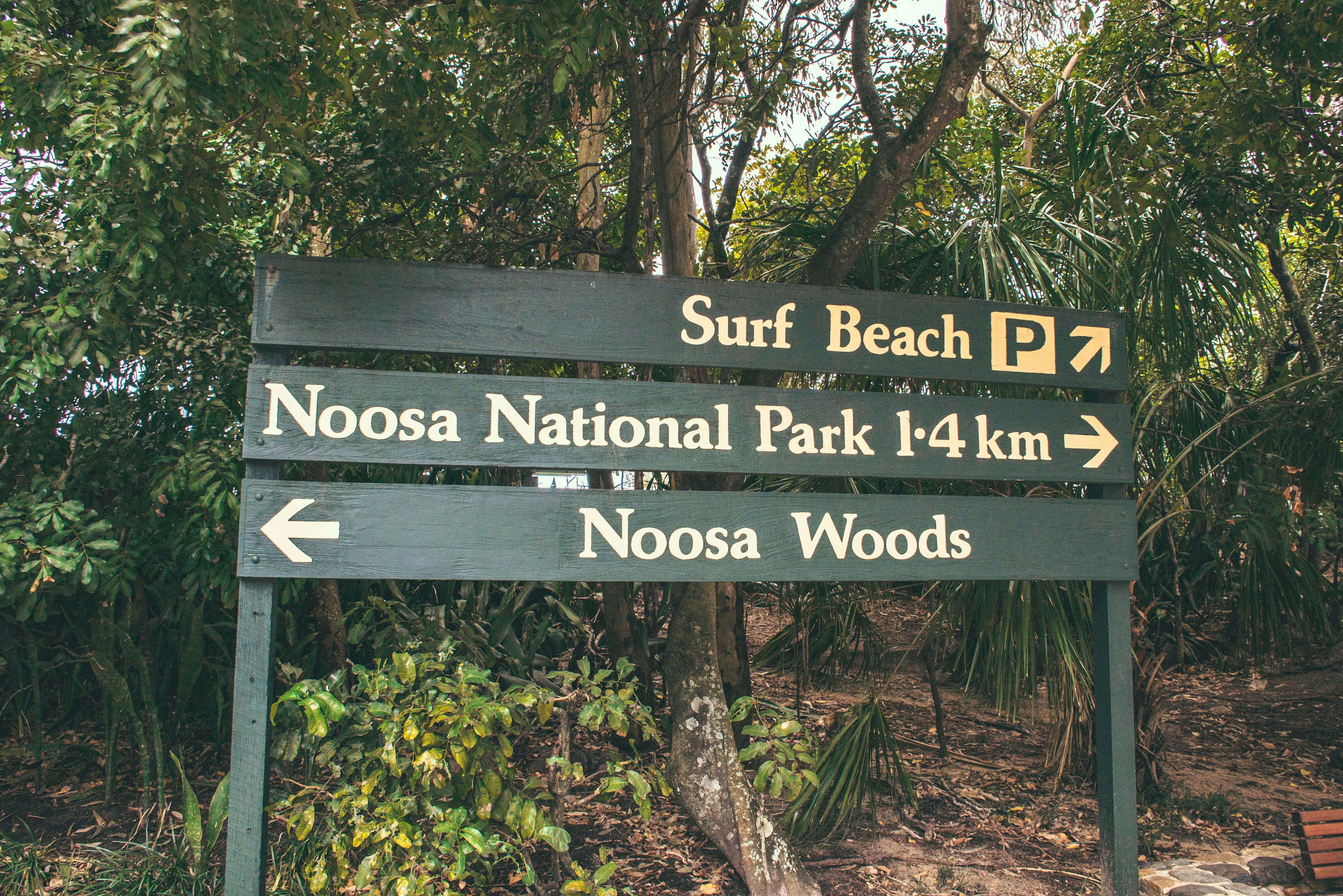 sign in noosa