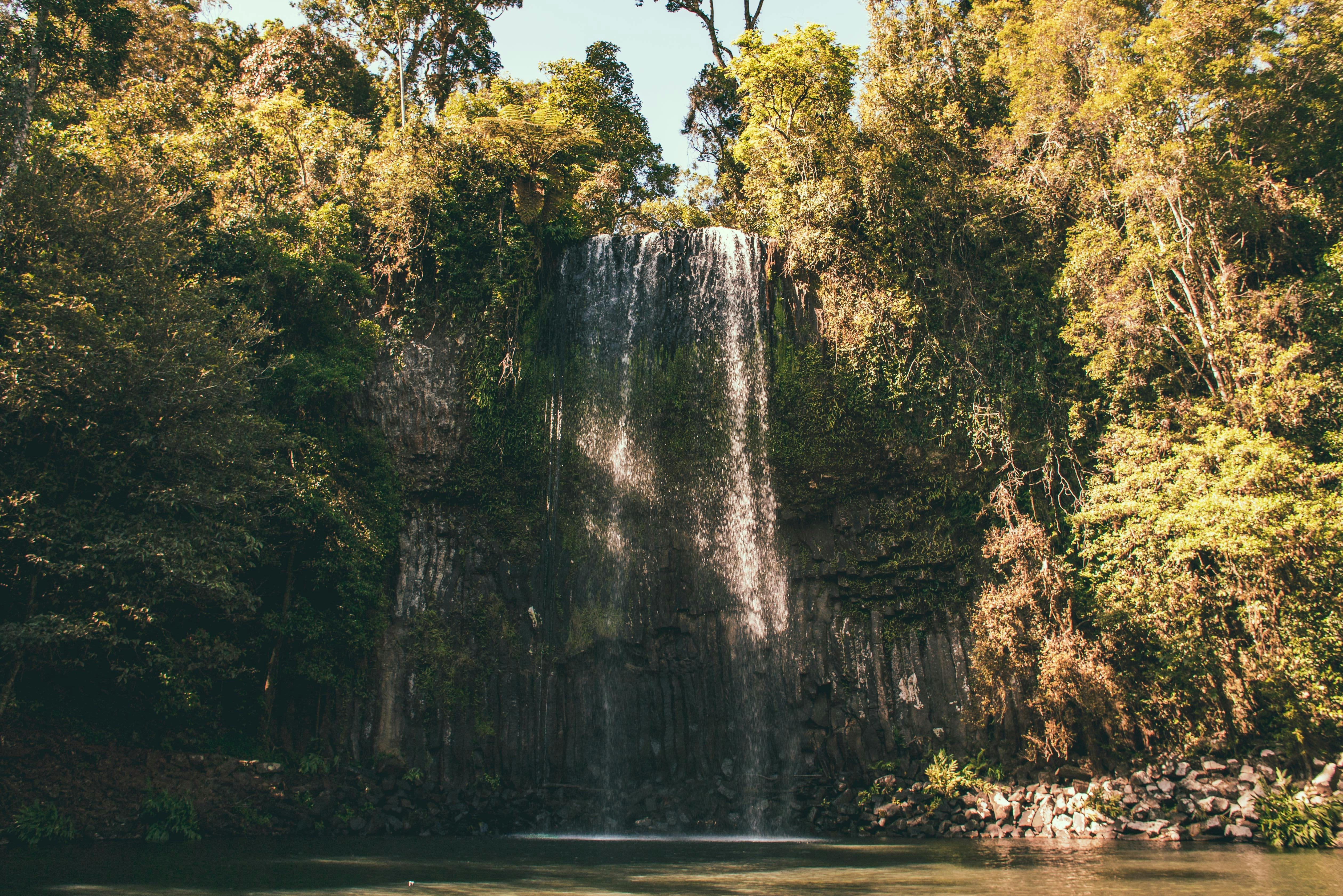 best things to do in cairns atherton tablelands