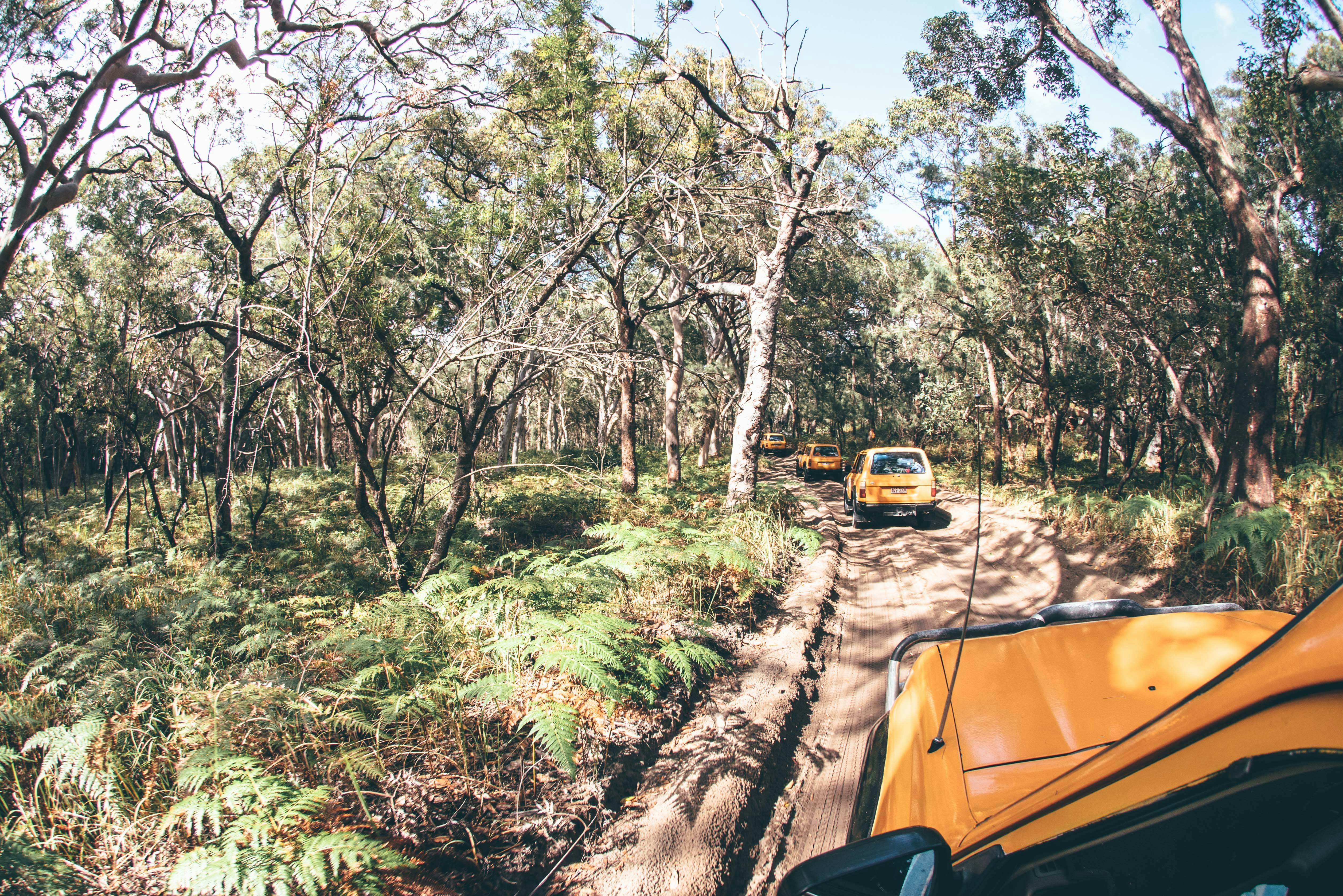 camping tour fraser island