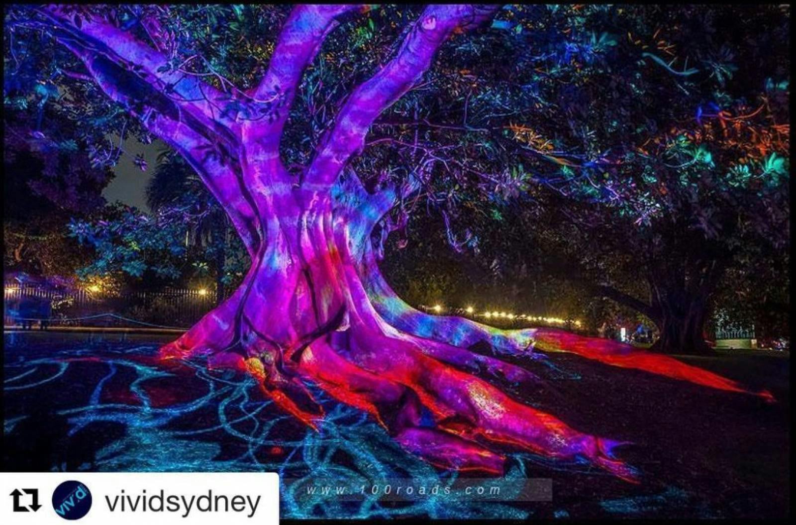 vivid sydney