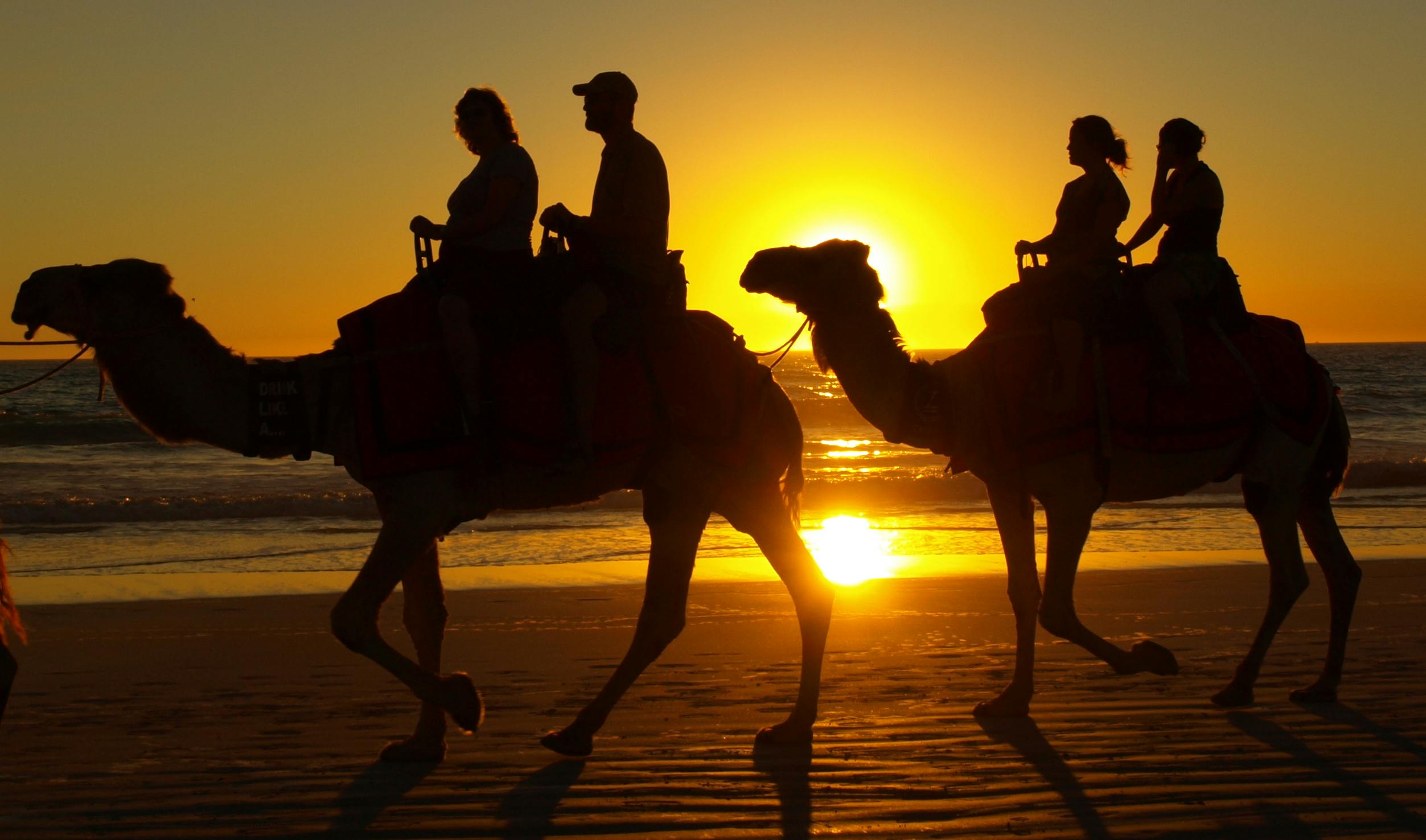 broome camel ride wa