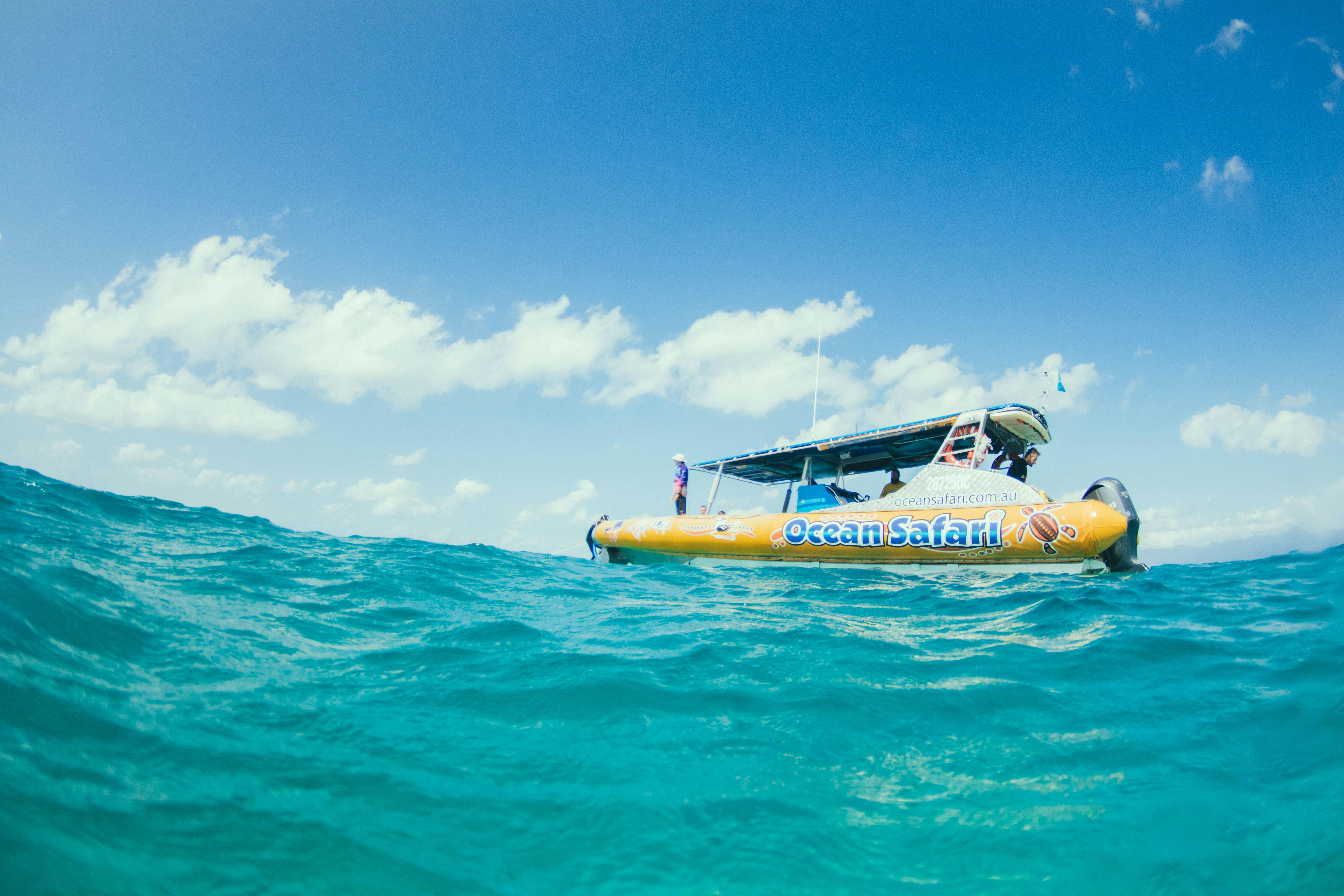 ocean safari cape tribulation