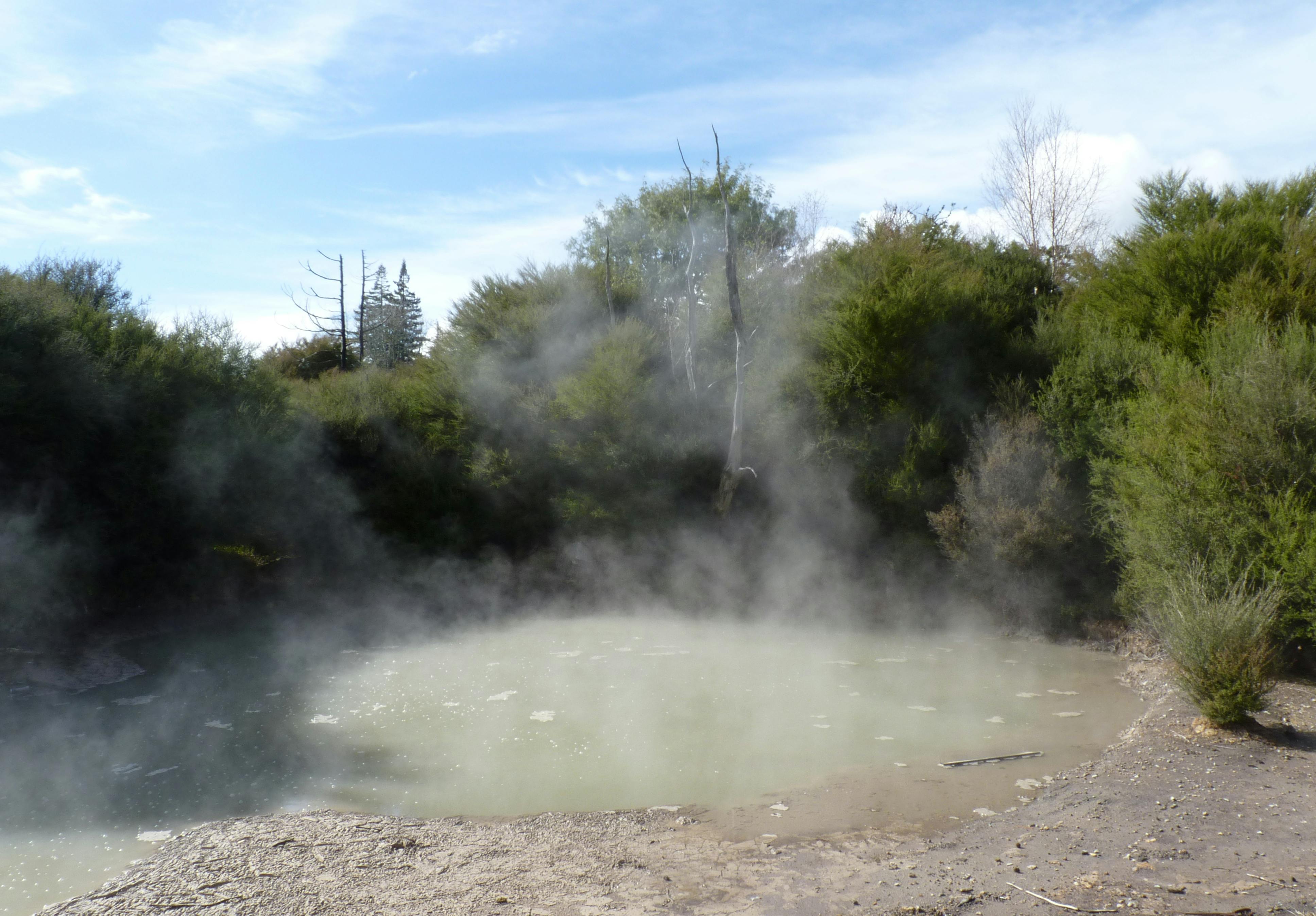 free things to do in rotorua kuirau park