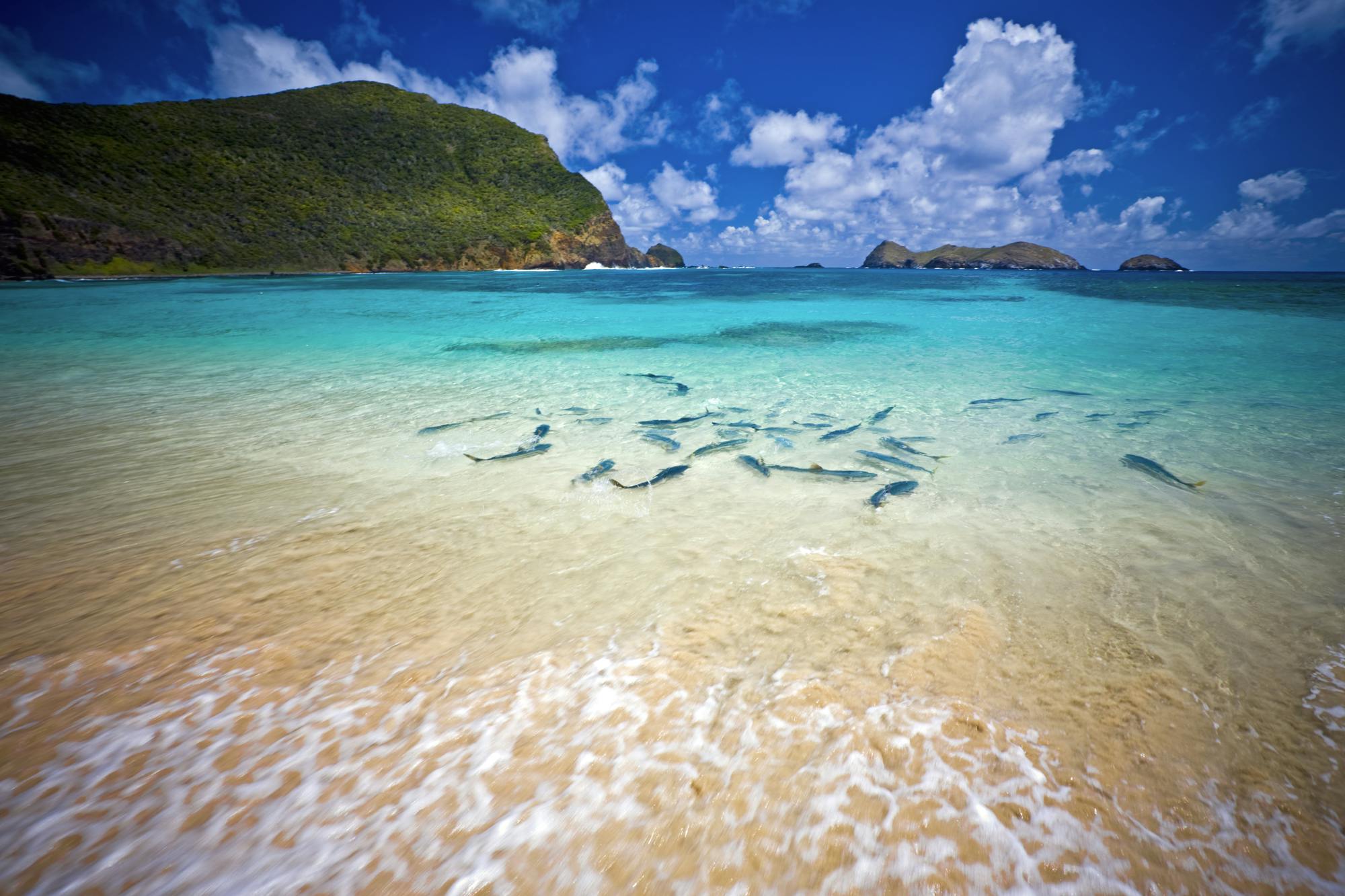 lord howe island