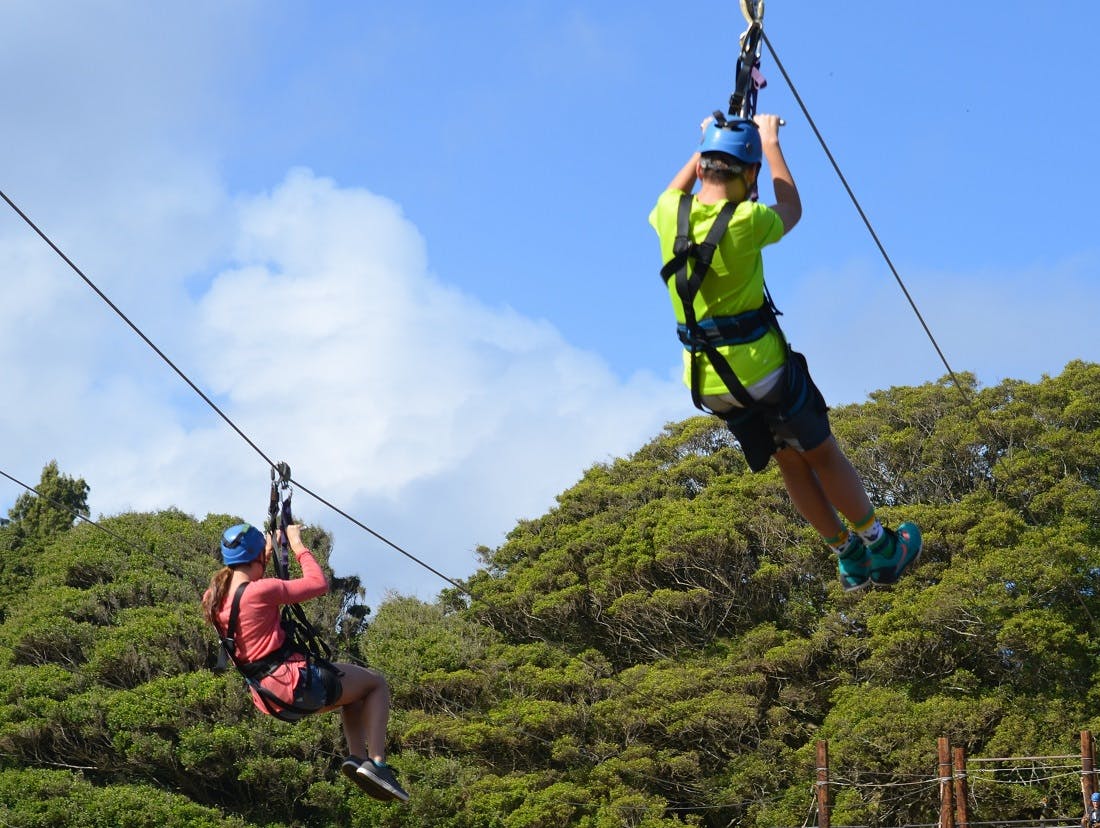 adventure activities new zealand