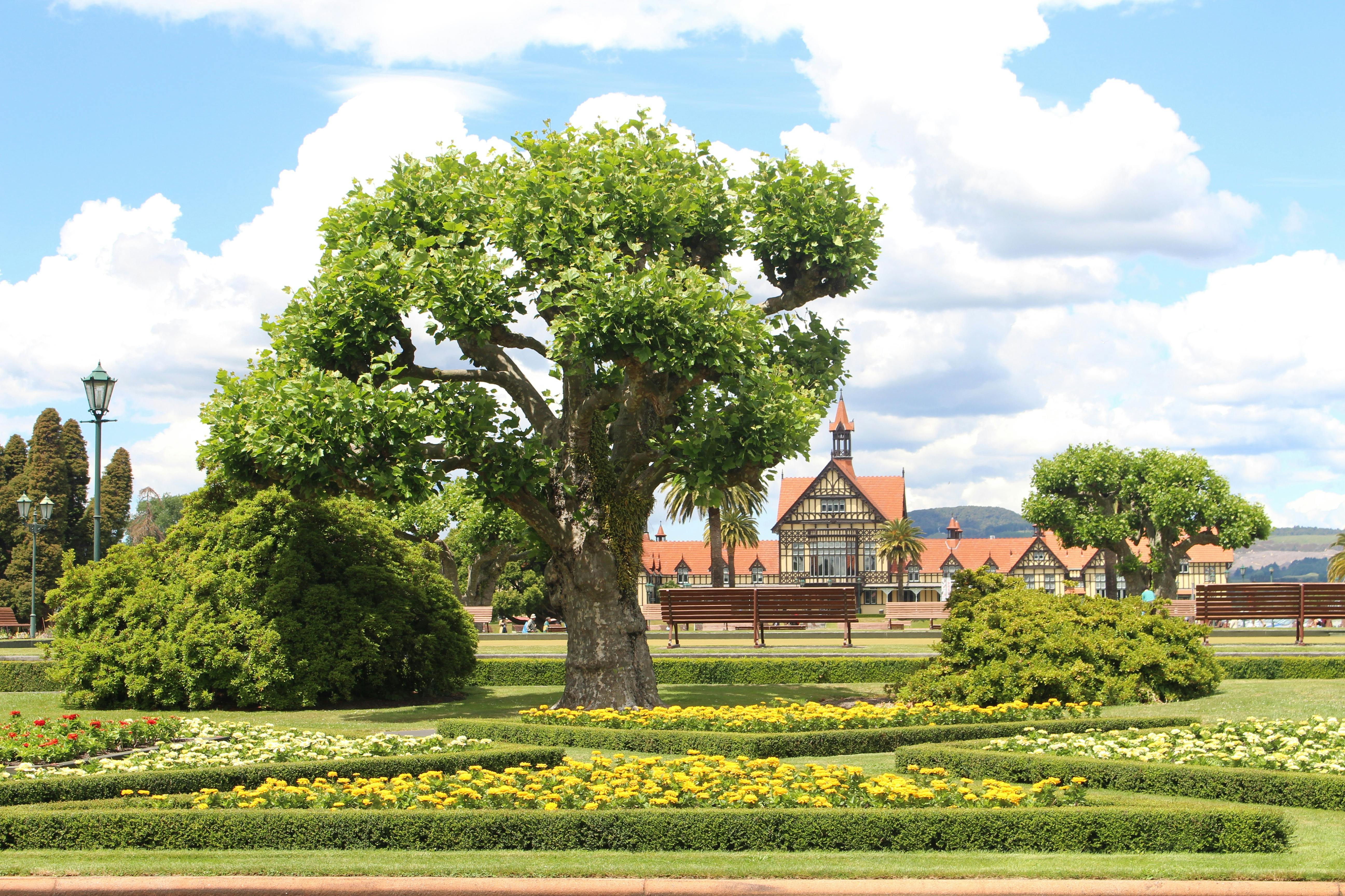 things to do in rotorua museum 