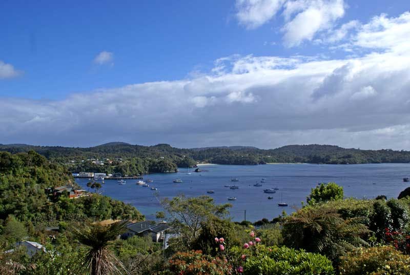 stewart island things to do