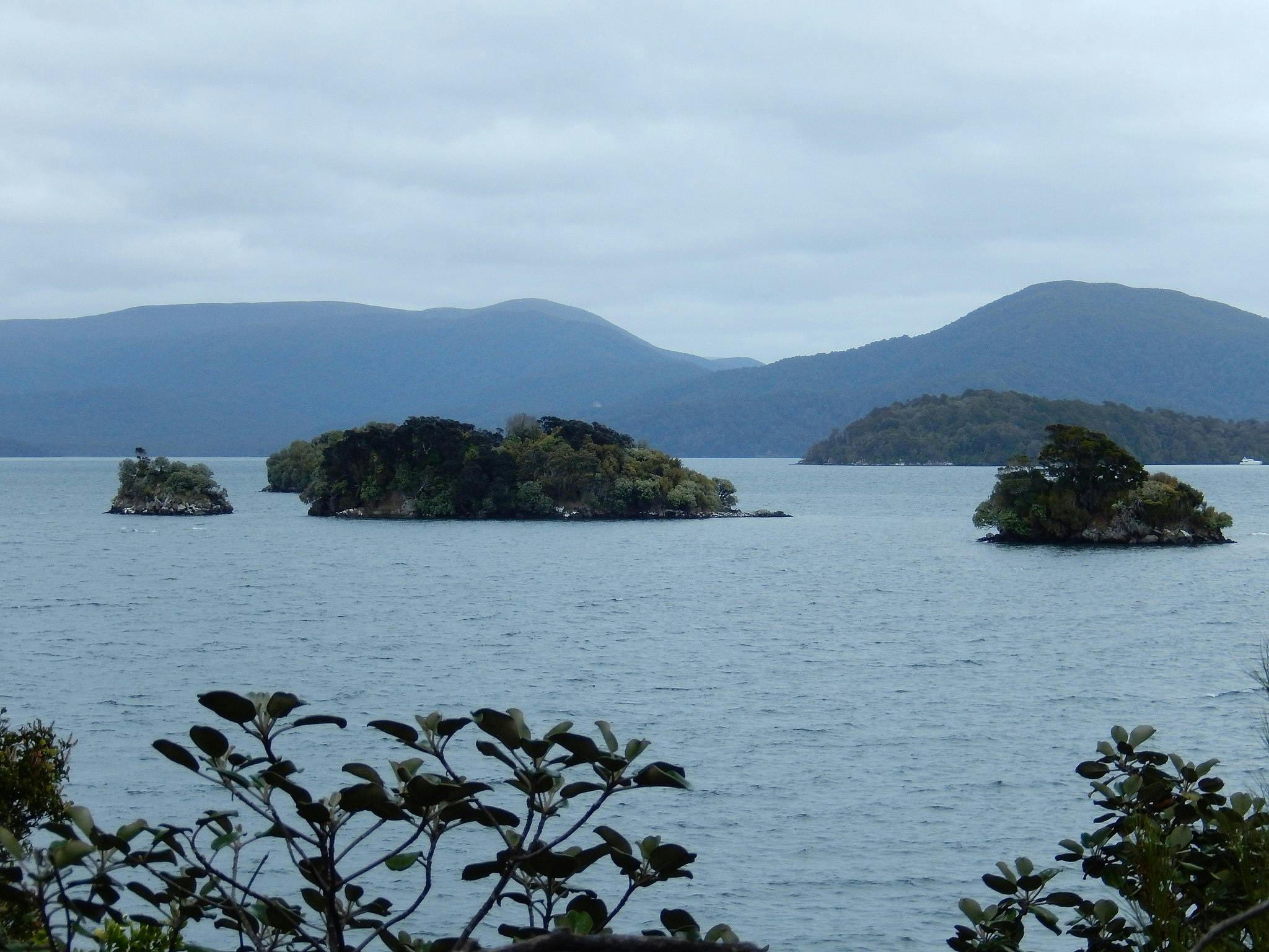 paterson inlet stewart island