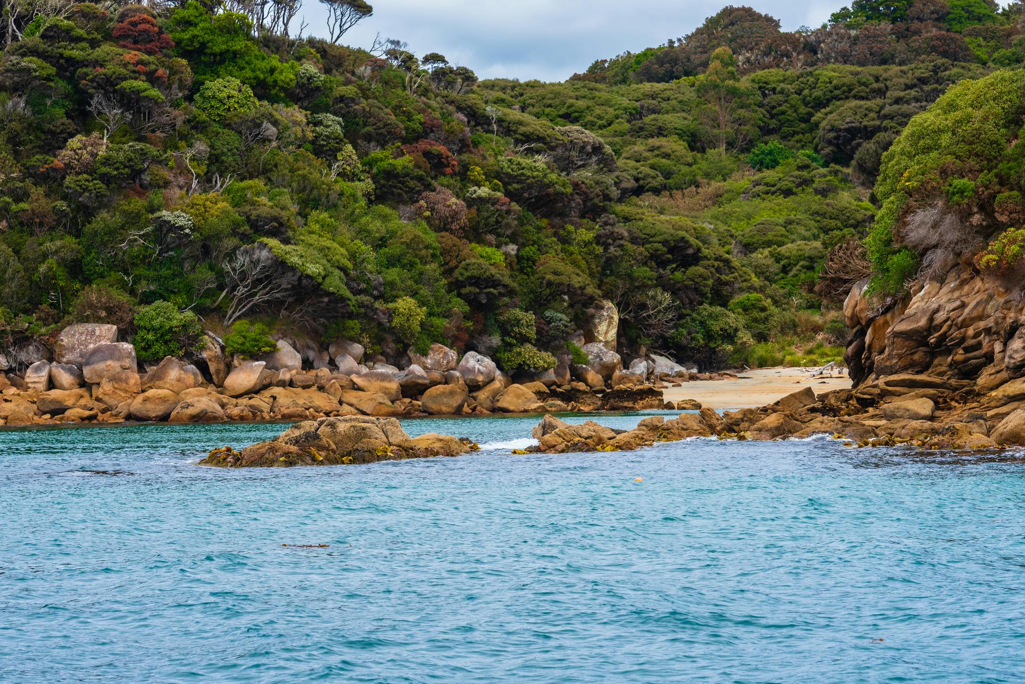 stewart island