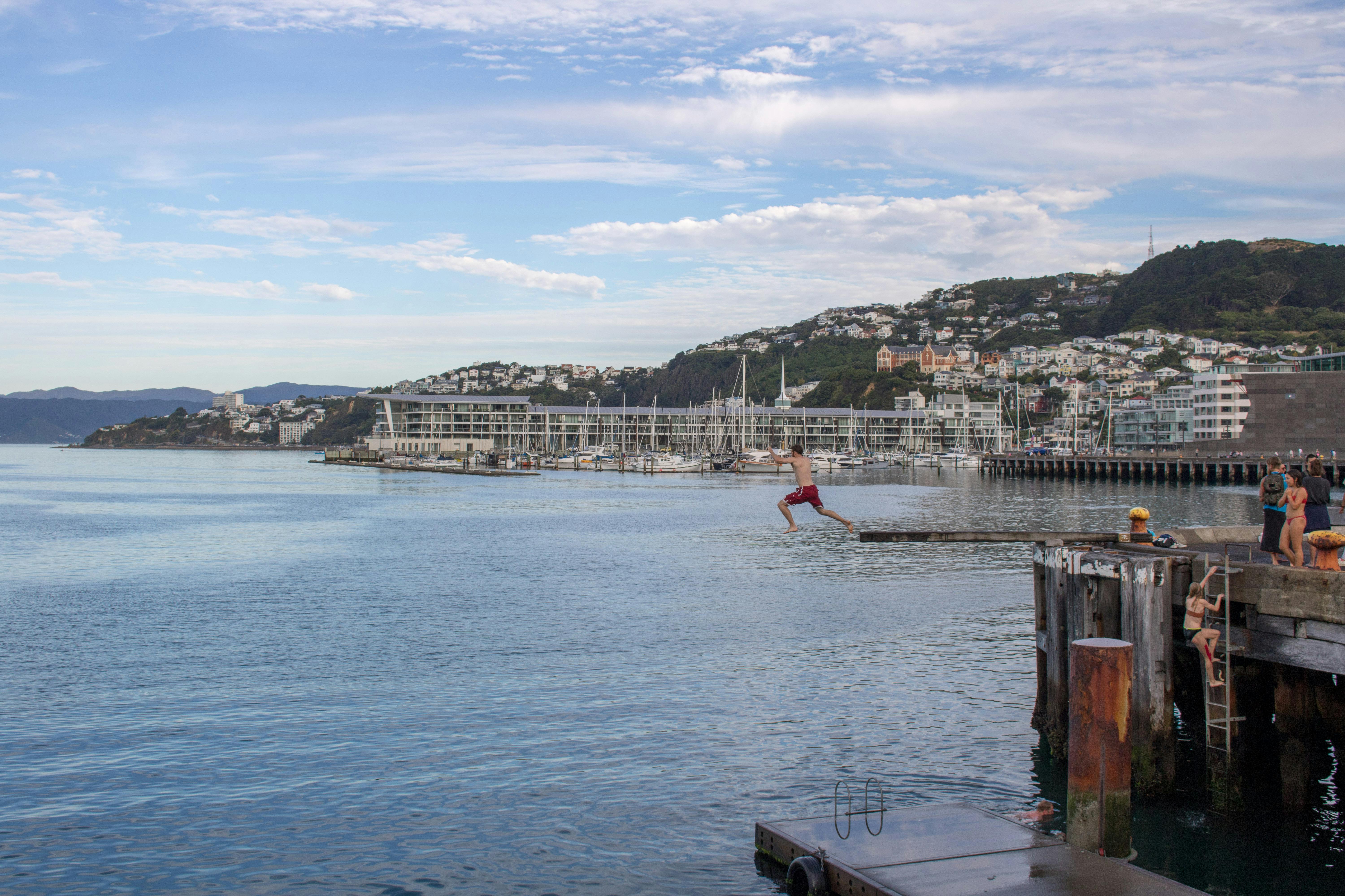 free things to do in wellington