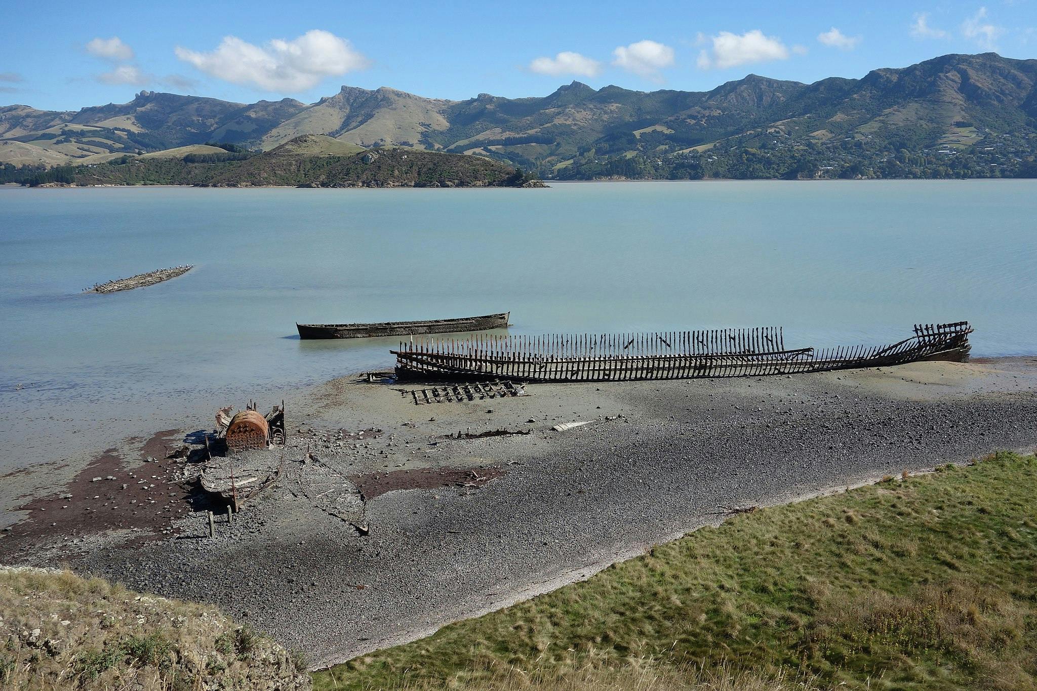 quail island christchurch activities