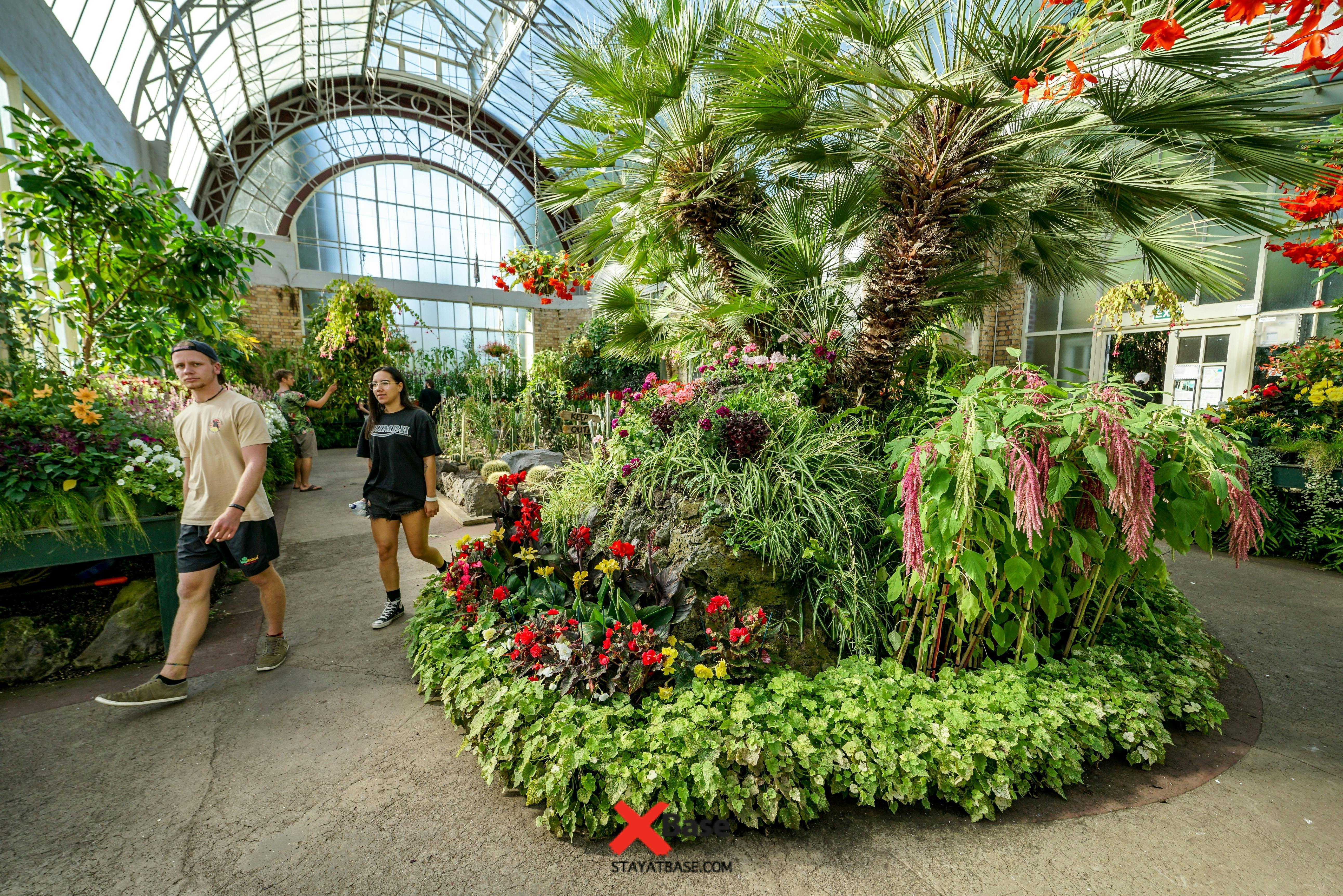 plants in the domain wintergardens