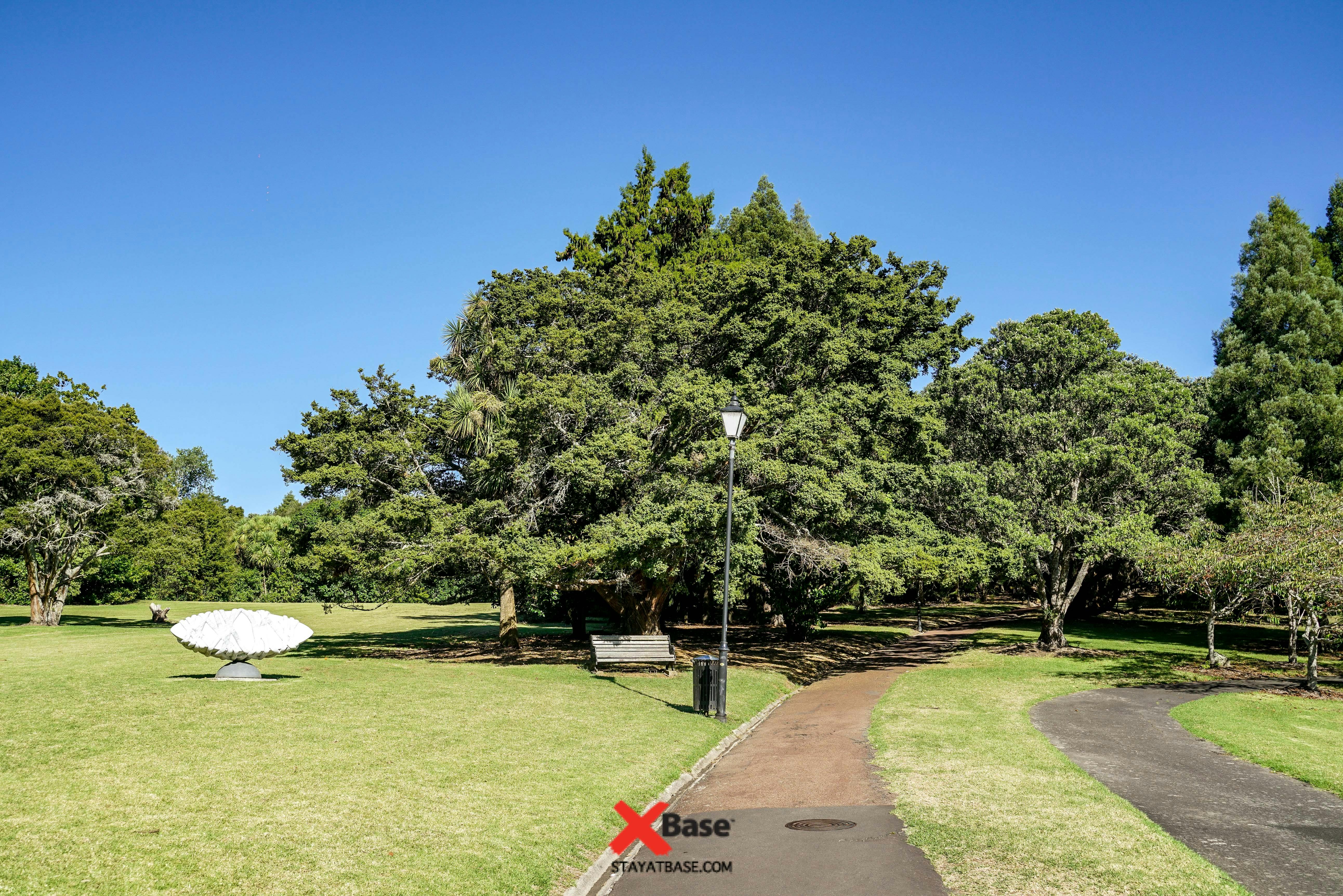 large park in auckland city