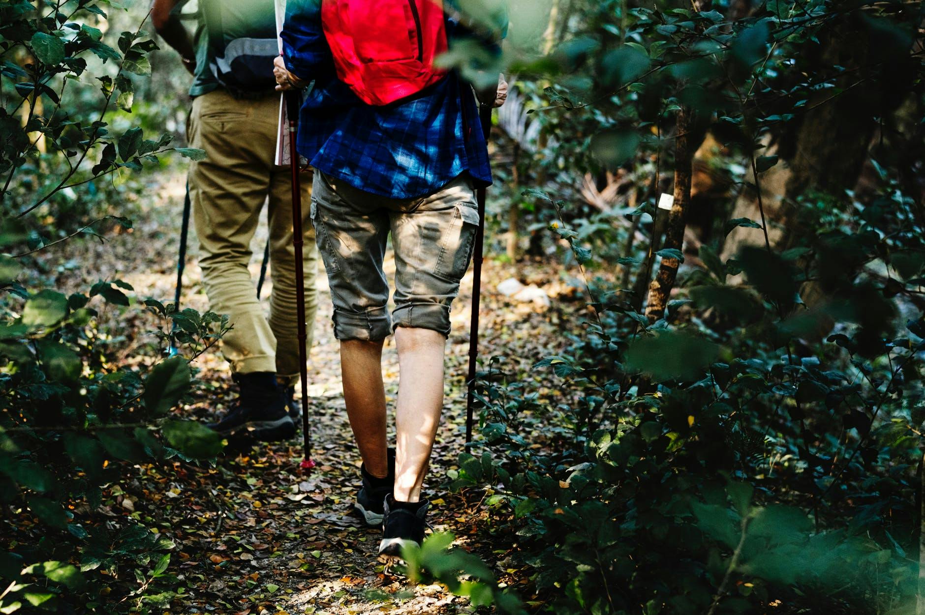 hiking in new zealand