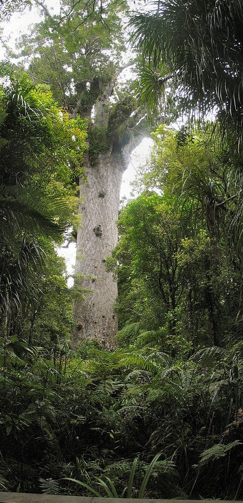 landmarks of new zealand